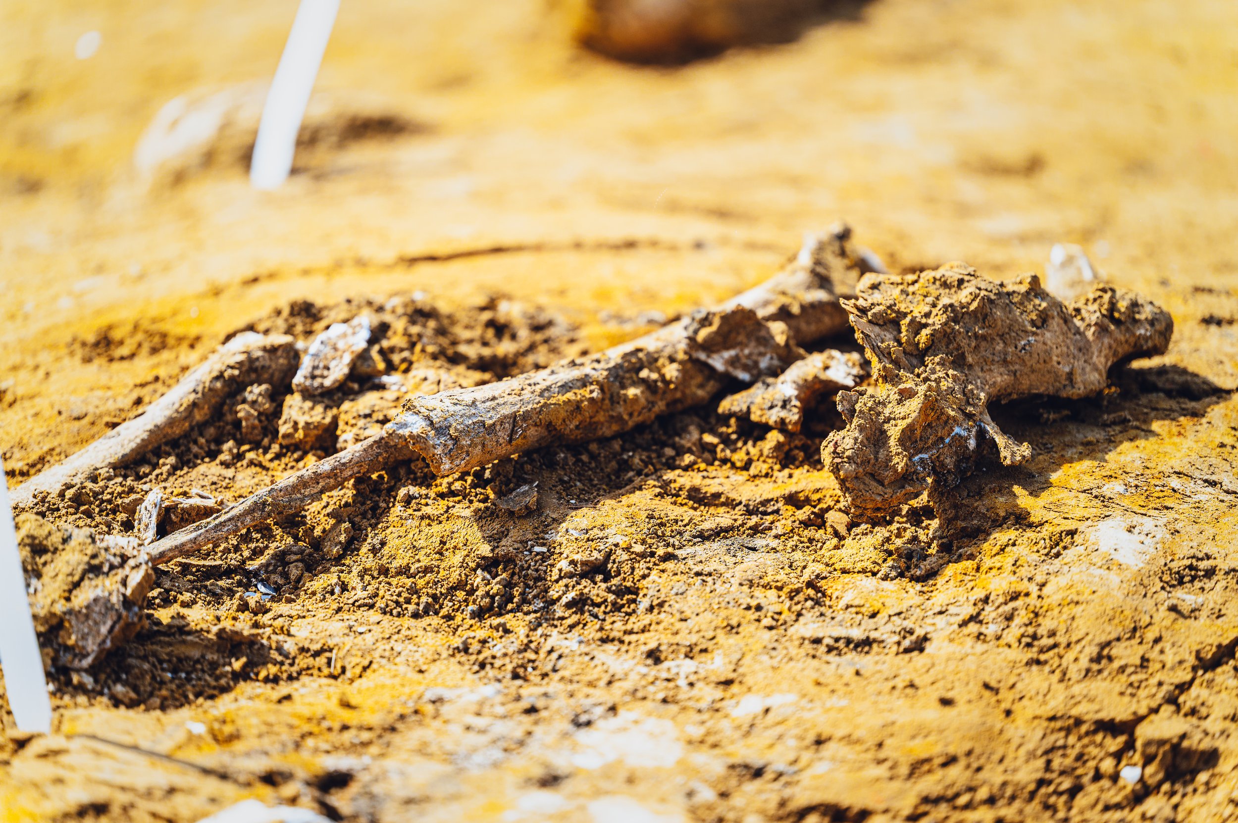 flitsmedia.com (23 van 41).jpg