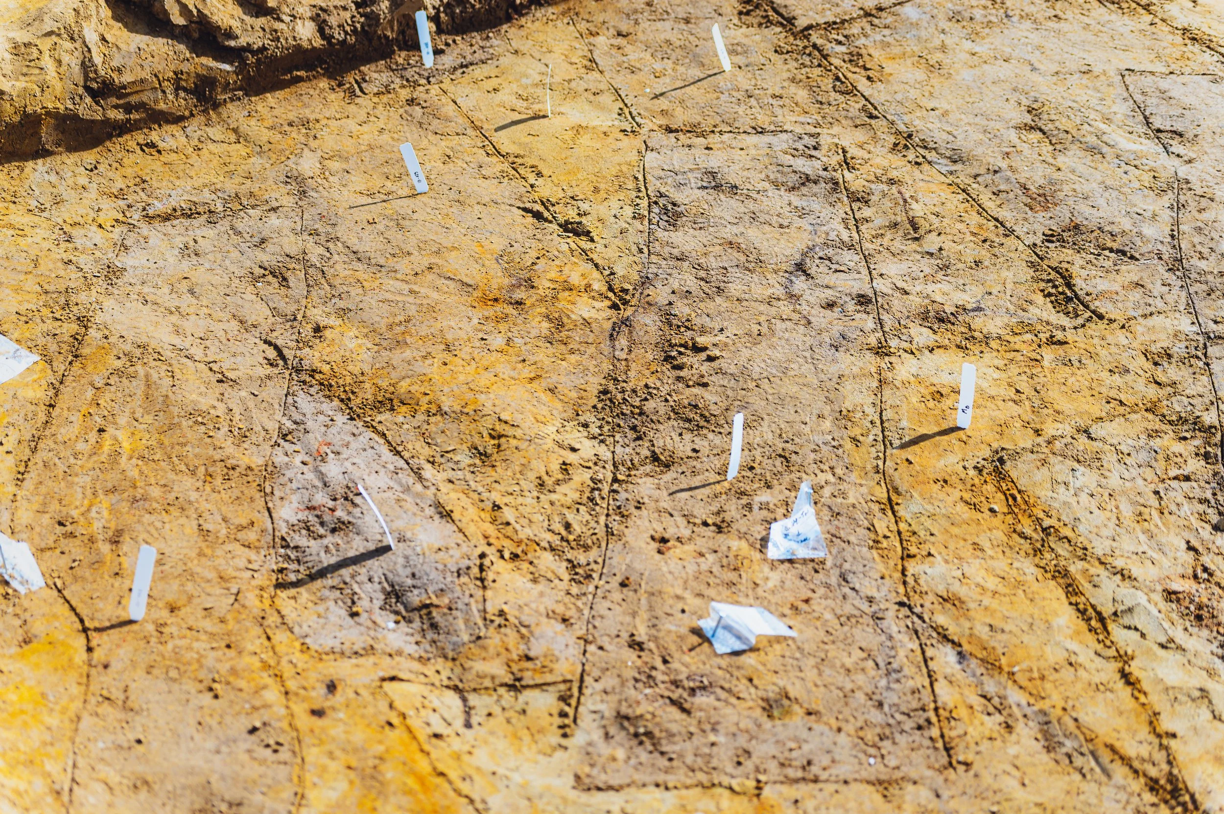 flitsmedia.com (8 van 41).jpg