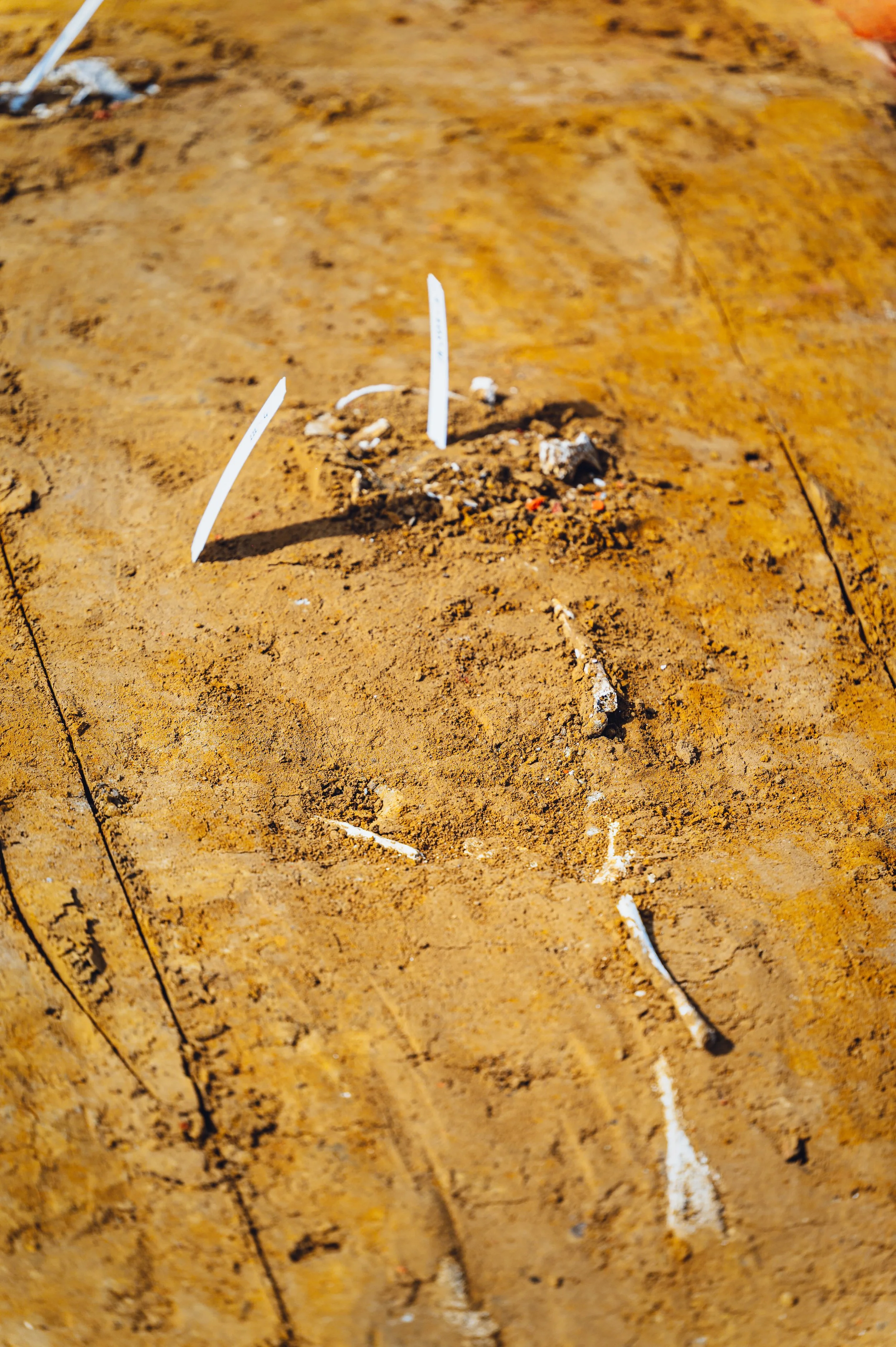 flitsmedia.com (25 van 41).jpg