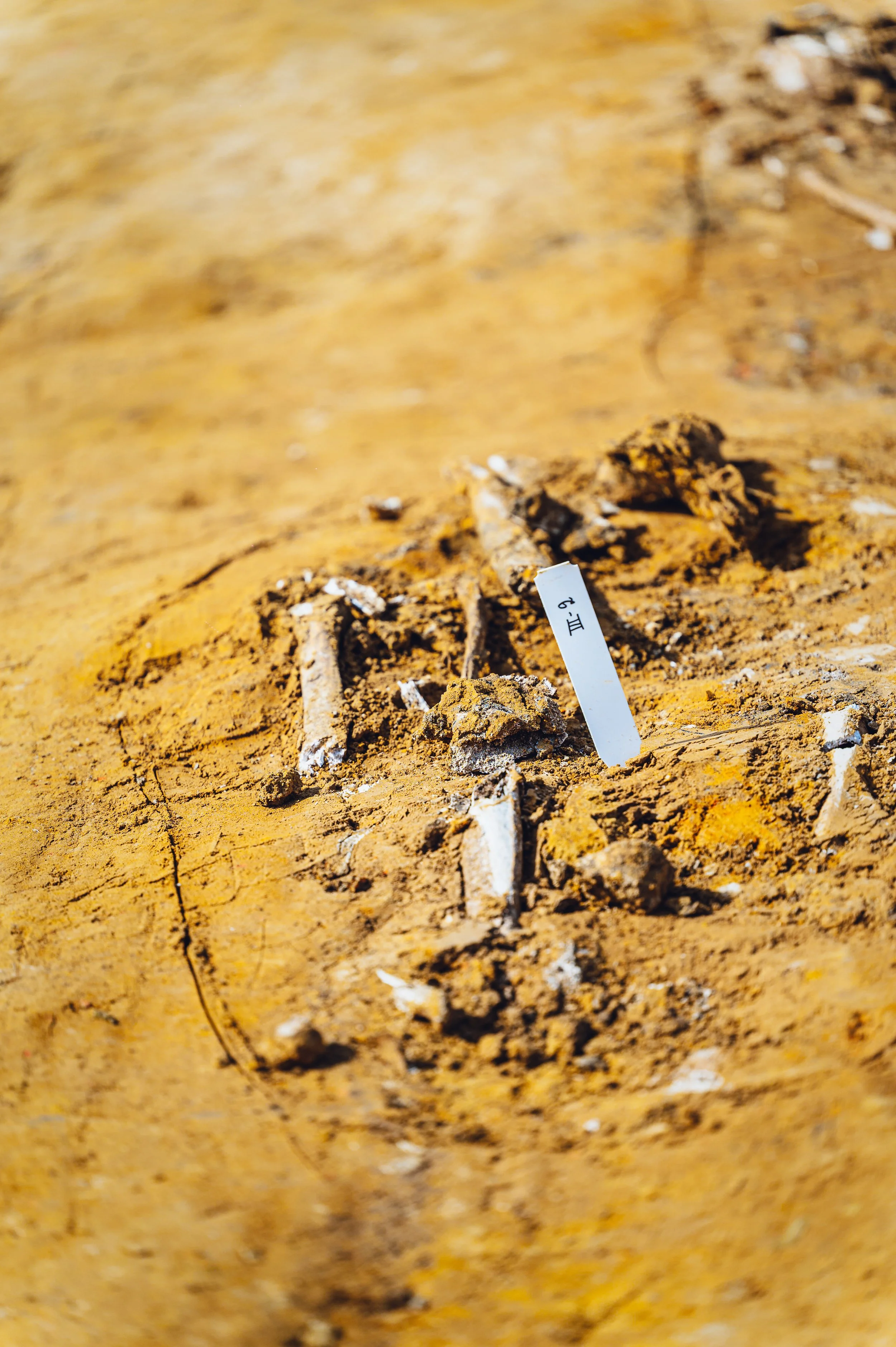 flitsmedia.com (26 van 41).jpg