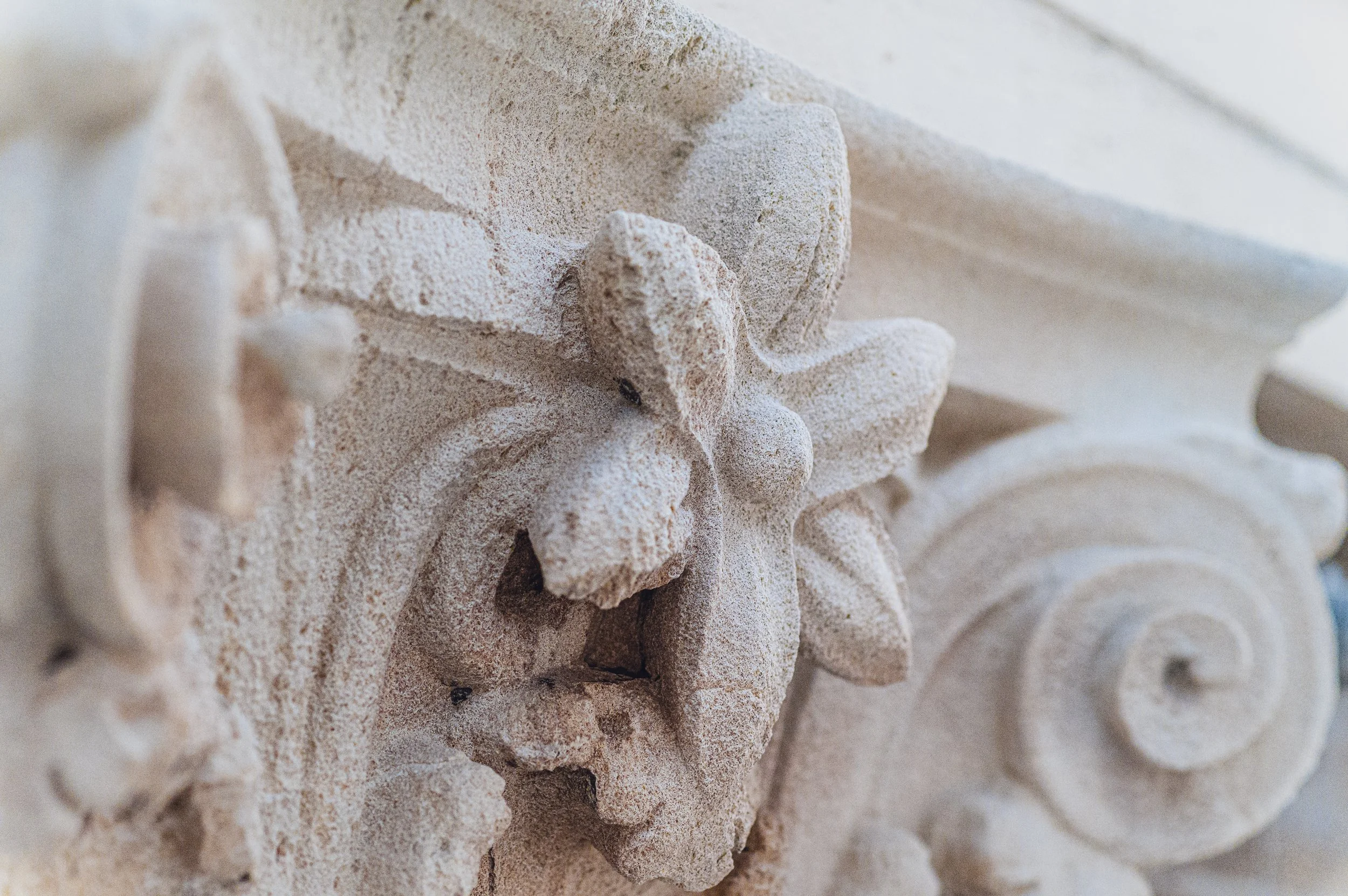 flitsmedia.com (5 van 43).jpg