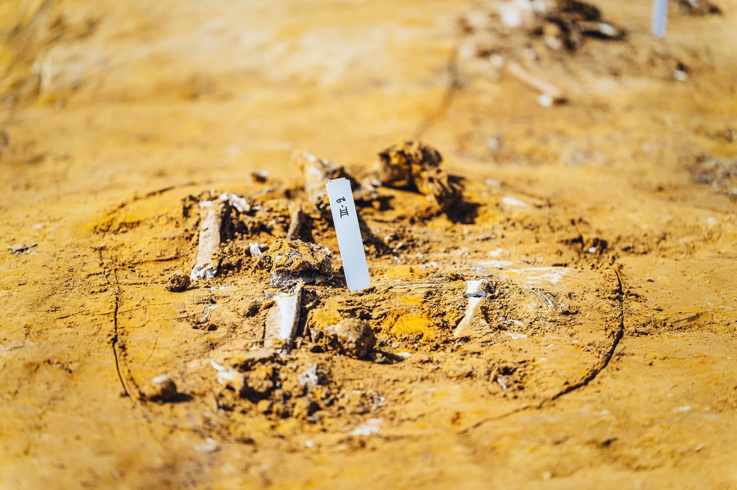 flitsmedia.com (27 van 41).jpg