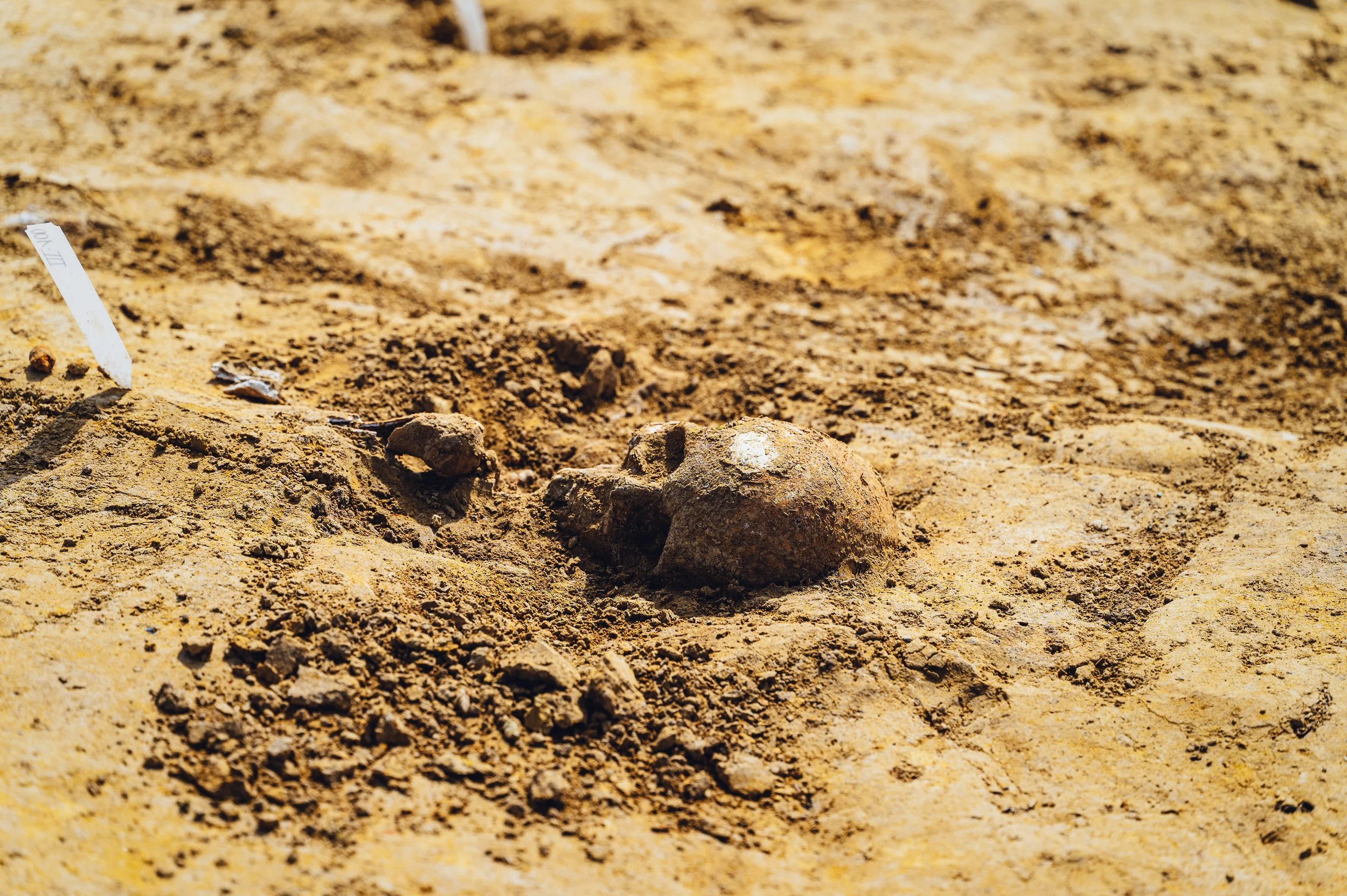 flitsmedia.com (35 van 41).jpg