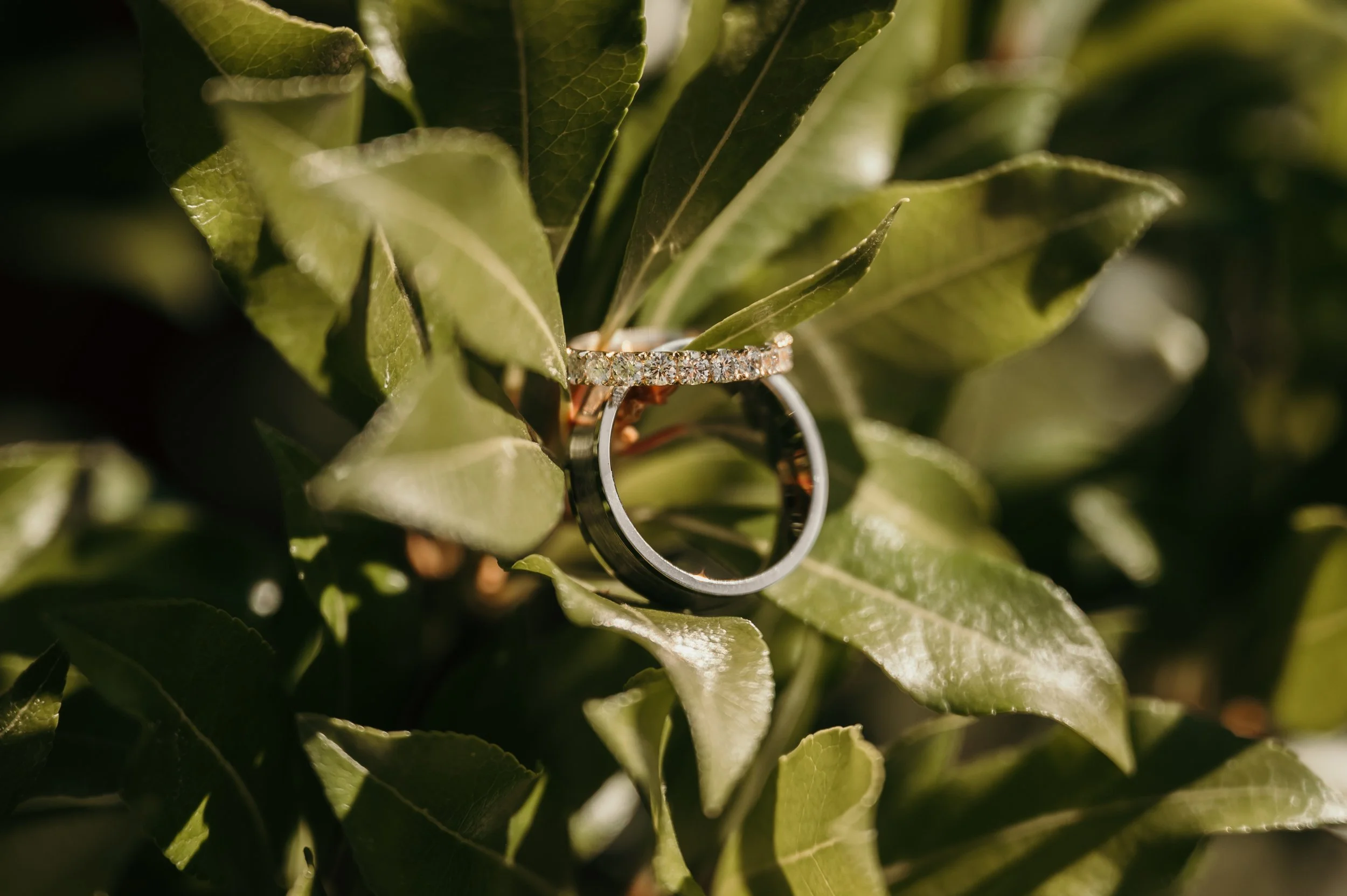 Natuurlijk Kloof9.JPG