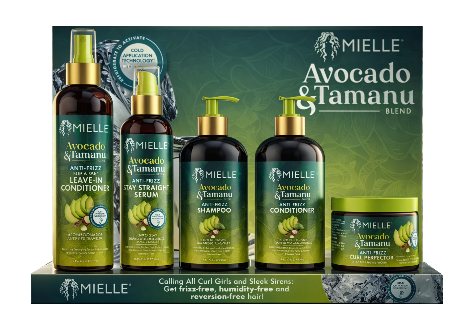 ChatGPT Image Feb 16, 2026, 08_10_47 PM.png