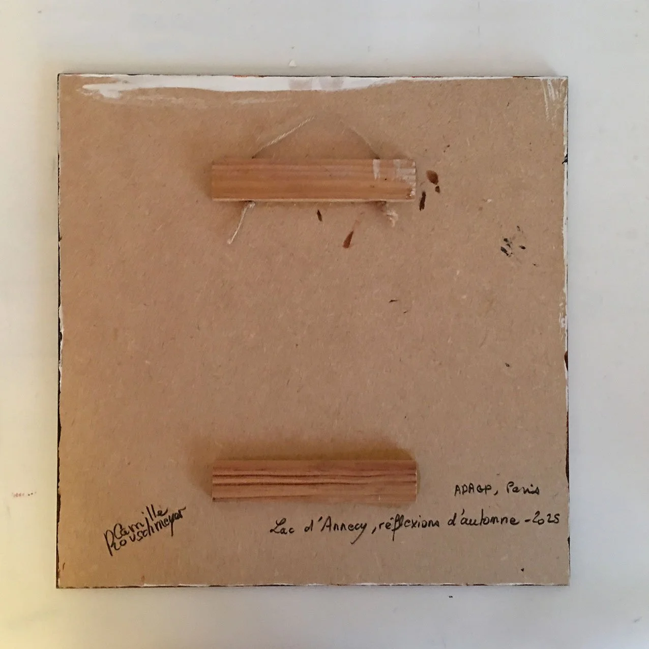 Back of the Artwork LAC D’ANNECY, RÉFLEXIONS D’AUTOMNE by Camille Rouschmeyer