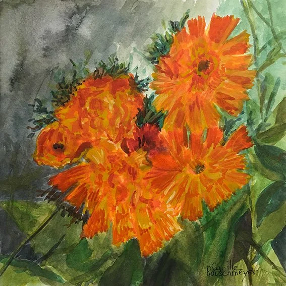 ÉPERVIÈRE ORANGÉE, aquarelle de fleur réalisée par l’artiste peintre impressionniste Camille Rouschmeyer