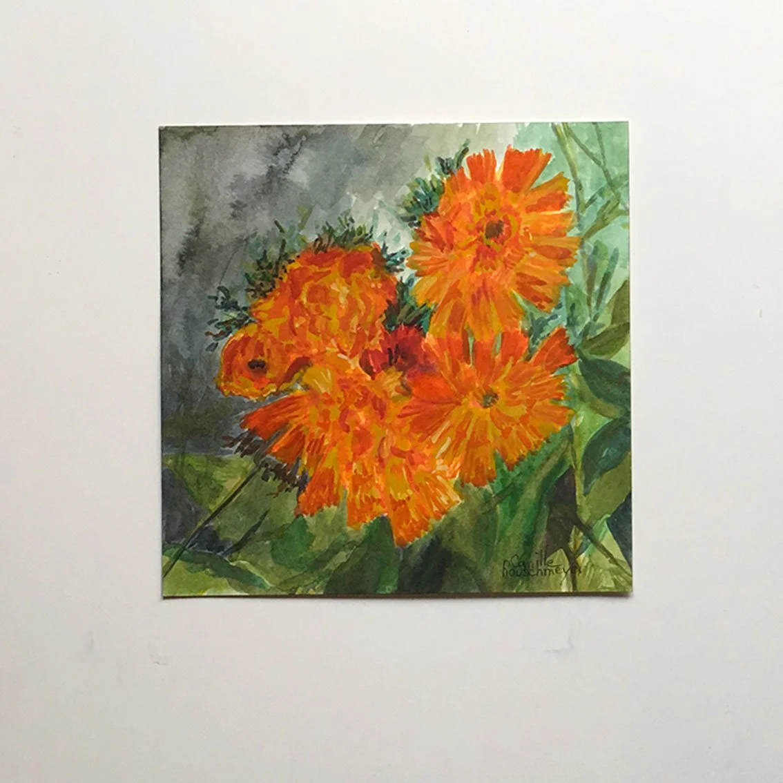 Aquarelle originale et unique intitulée ÉPERVIÈRE ORANGÉE, par Camille Rouschmeyer