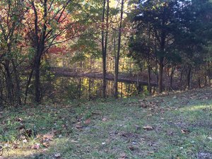 IMG_1973.jpeg
