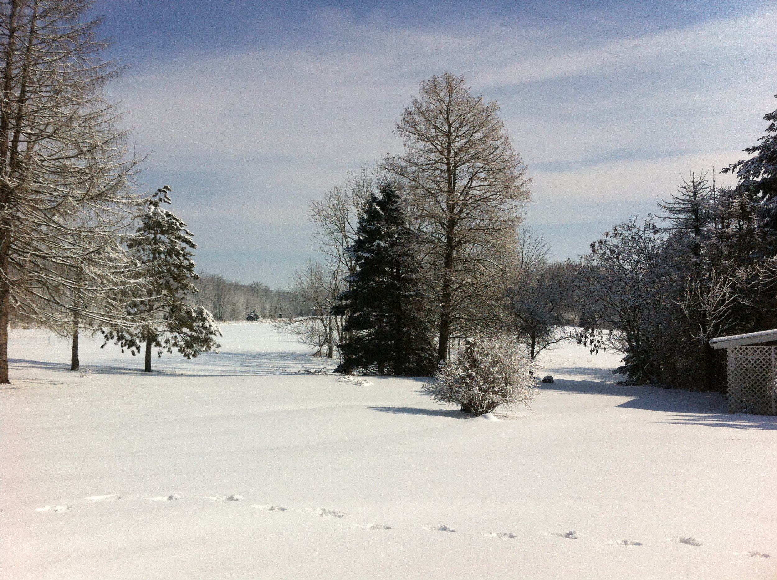 IMG_1310.jpeg
