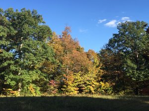 IMG_1969.jpeg