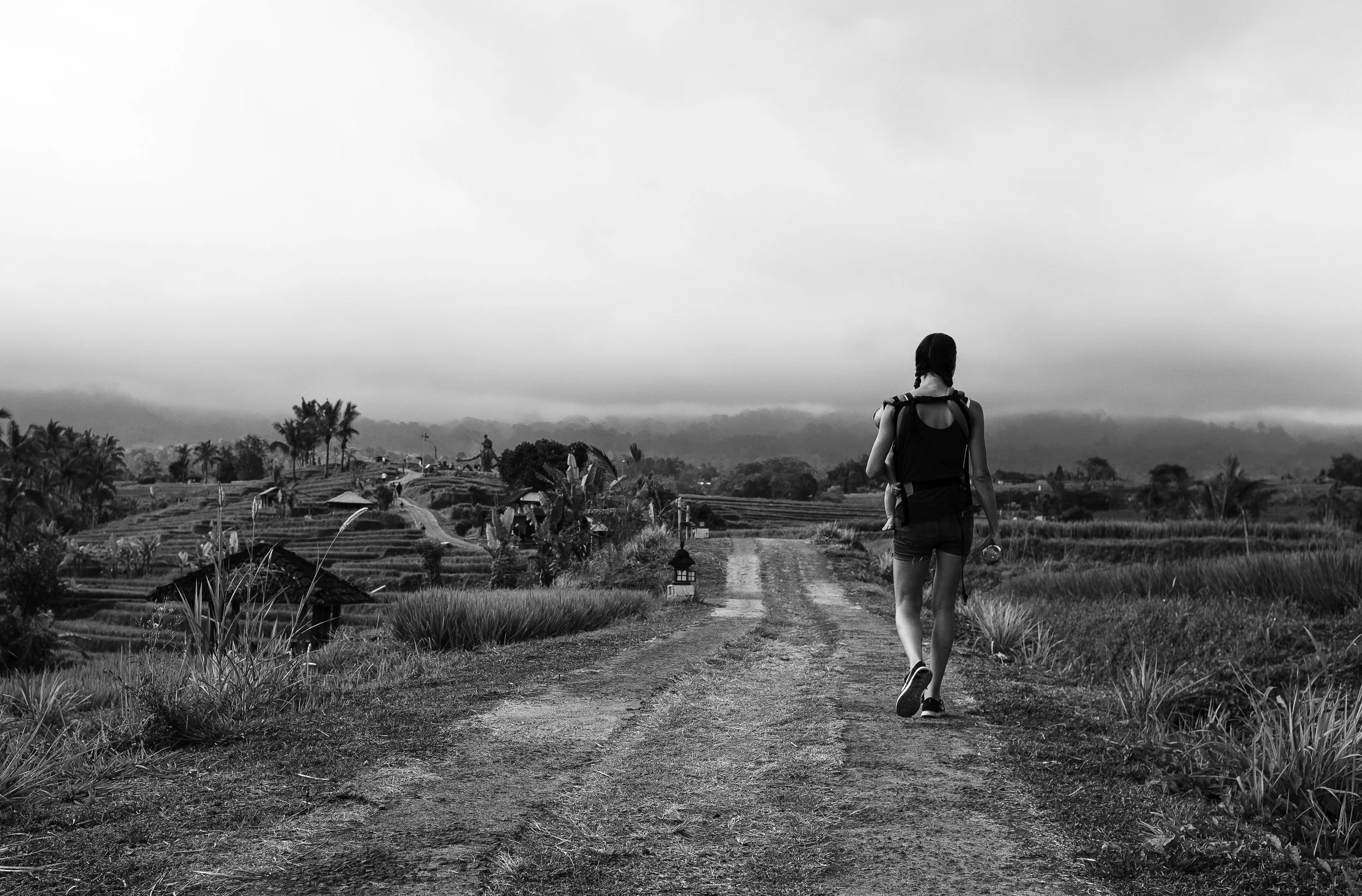 A walk through the rice fields