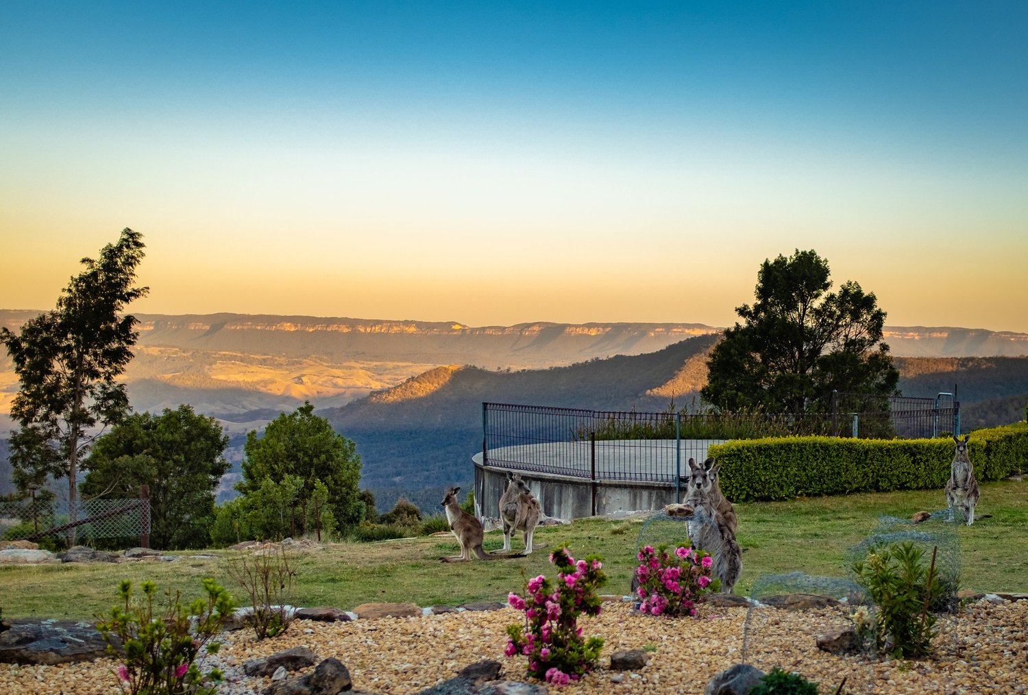 Blue Mountains NSW Australia