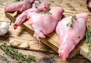 Rabbit Processing Workshop