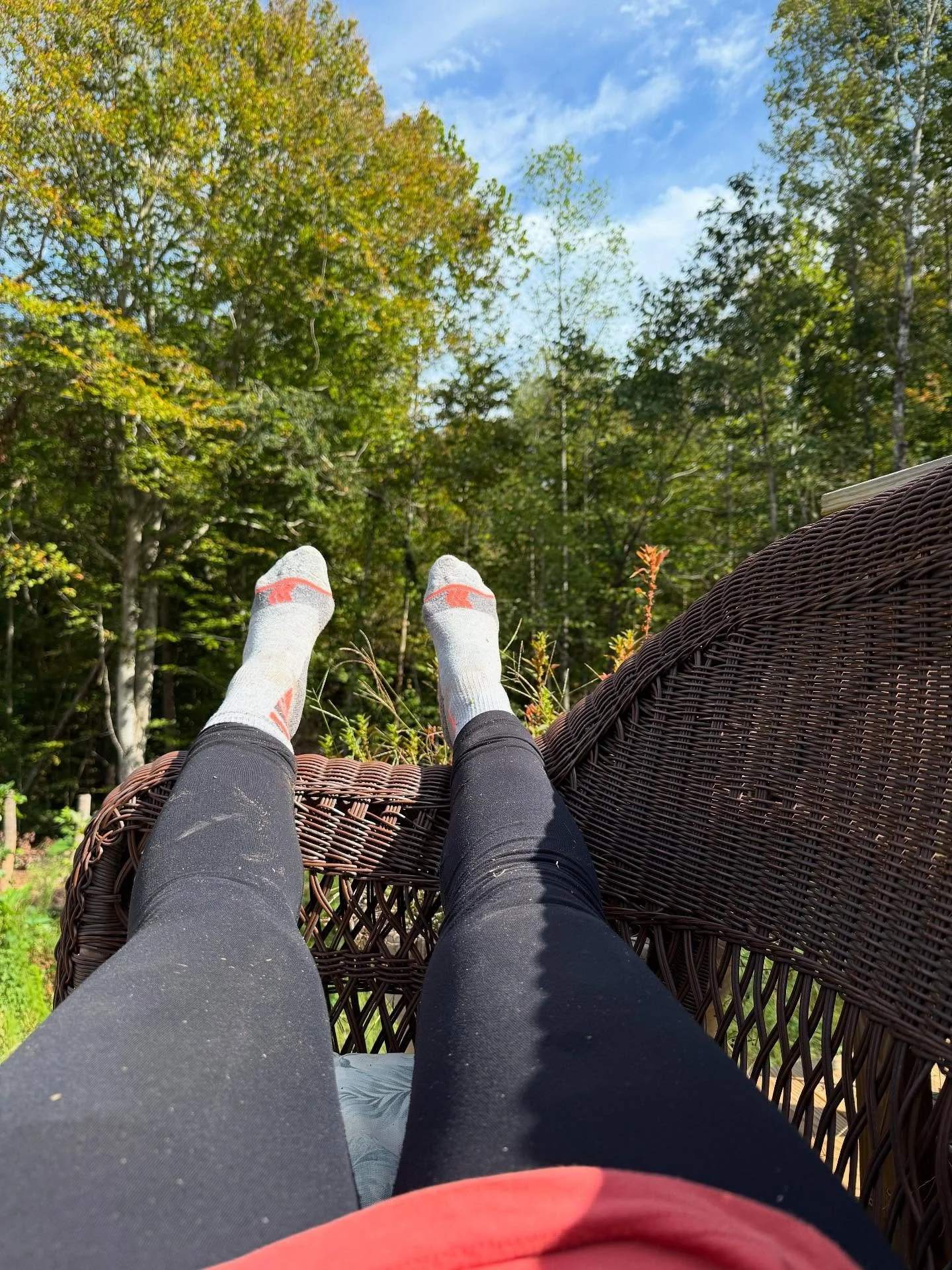 ☀️Sometimes you just gotta take a little lizard break🦎