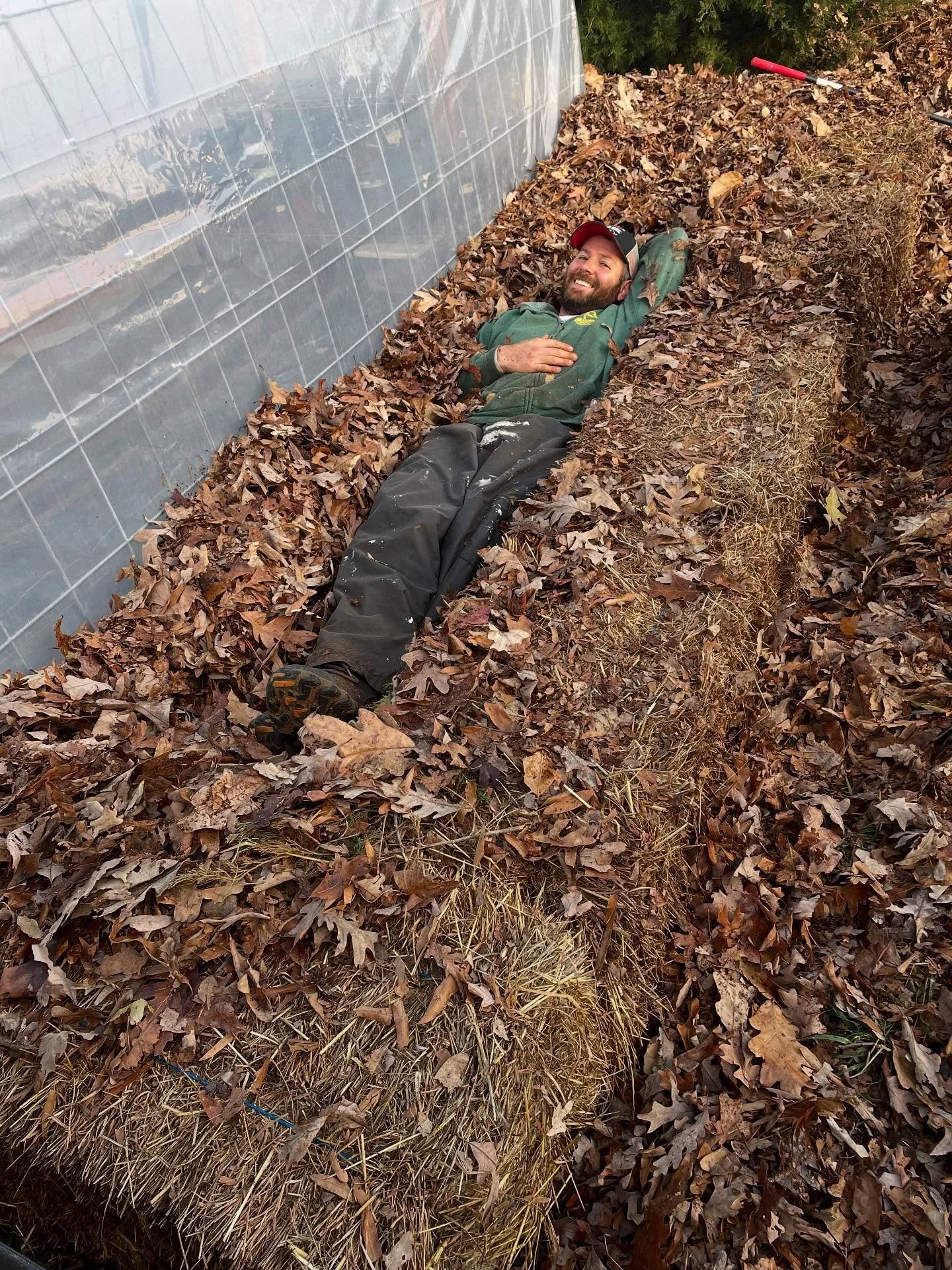 If you enjoy bagging leaves, you can bring them to our house 😎