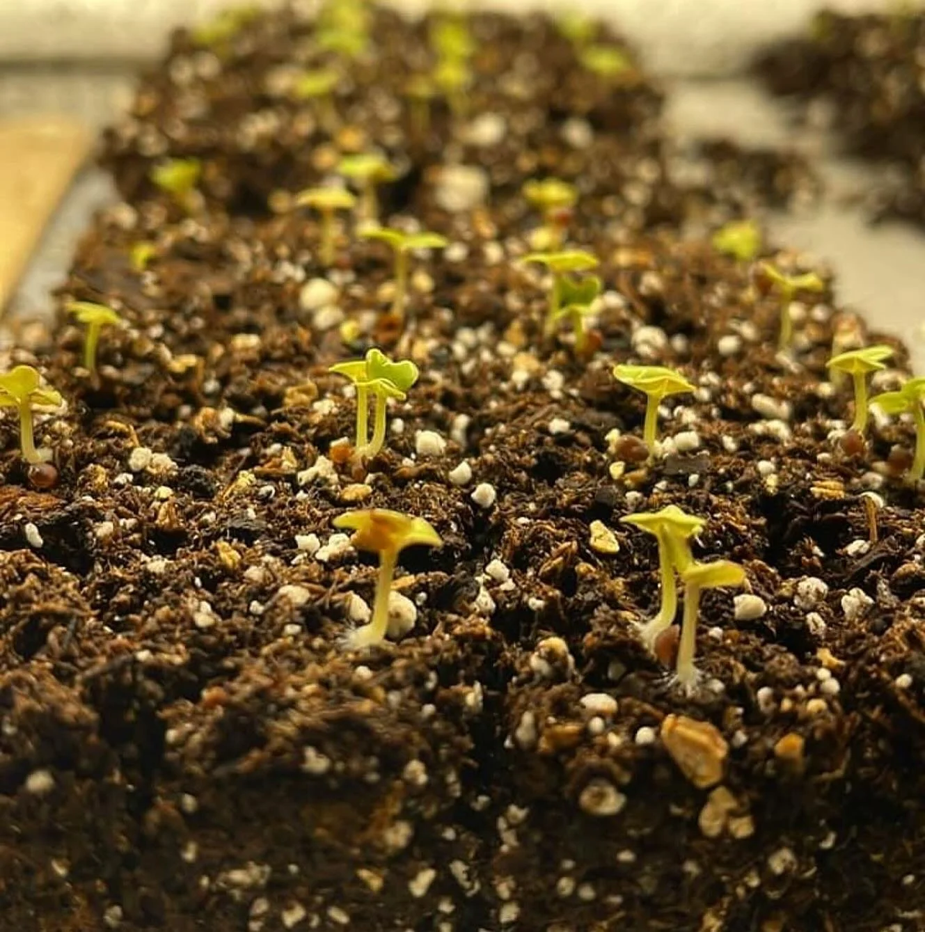 Too soon, too soon&hellip;but soon 😍