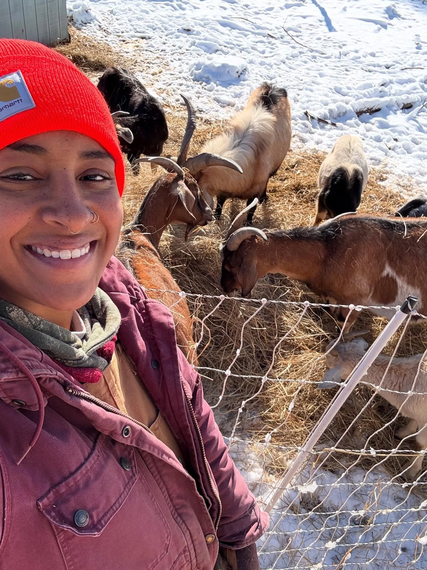 Just remember gurl, you wanted all those damn animals. 

They do not care if it&rsquo;s hot, cold, raining, snowing, or a tornado is coming. 

Sick? They don&rsquo;t care. 
Your back hurts? They don&rsquo;t care. 
Got cramps? They don&rsquo;t care. 
