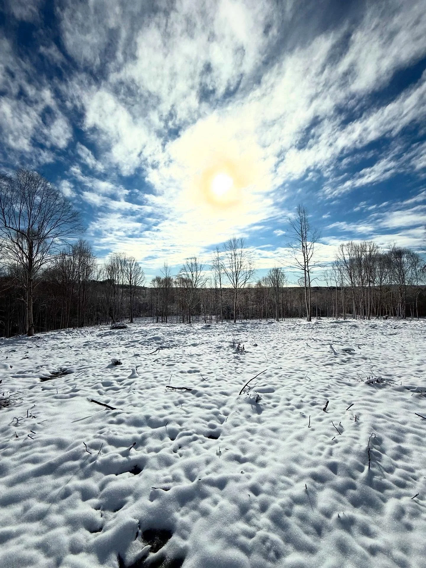 ☀️ Ready for a slow return of warmth and light, but not before I embrace the cozy dark days of winter. ❄️ 

Happy Solstice 🖤