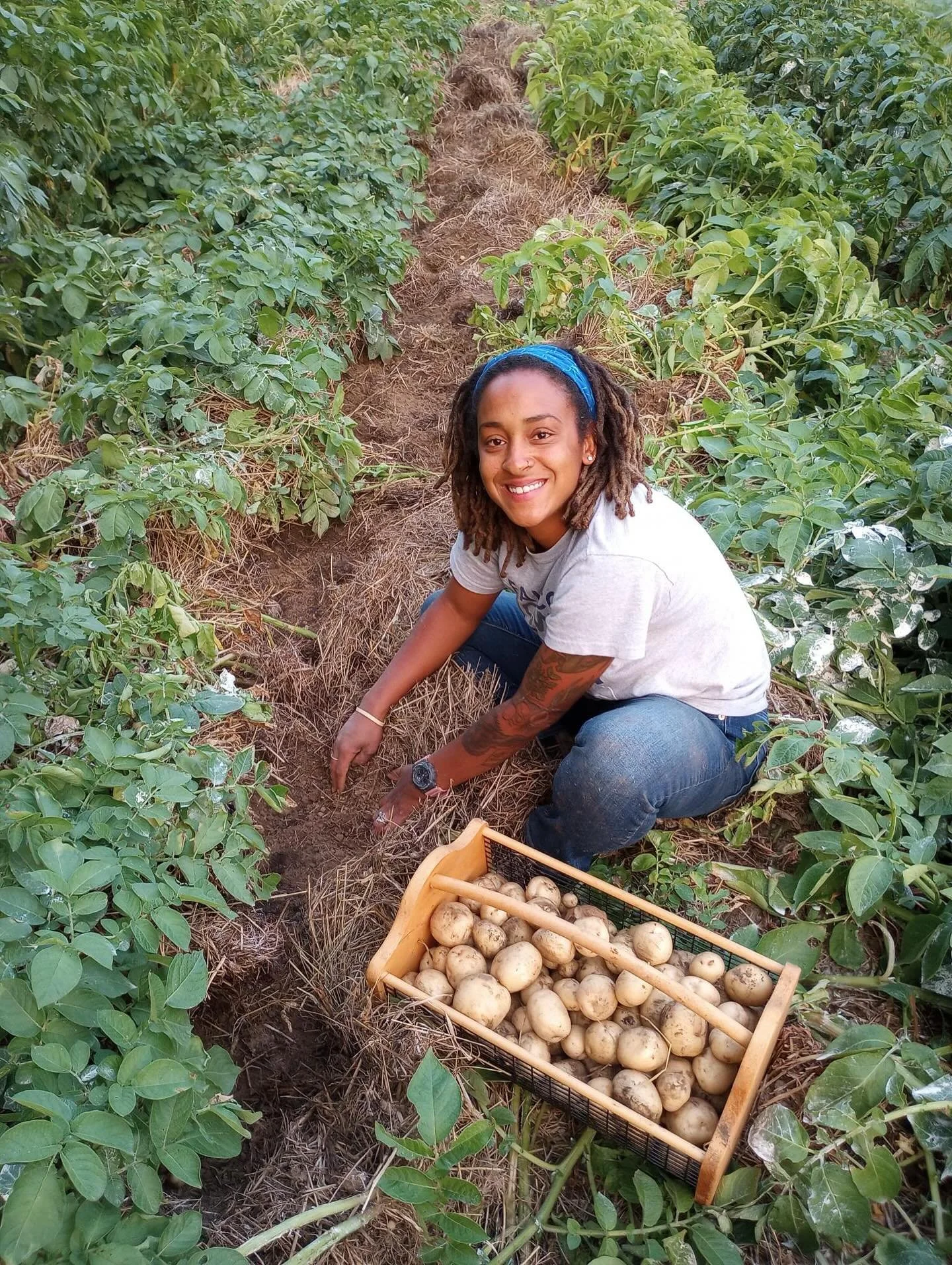 Ok so real question here is WHAT ARE WE GROWING FRIENDS?!

I&rsquo;m trying real hard not to pull out the seed catalogs down because I literally do not need a single thing. I&rsquo;ll be buying more starts than usual again this year but hope to start