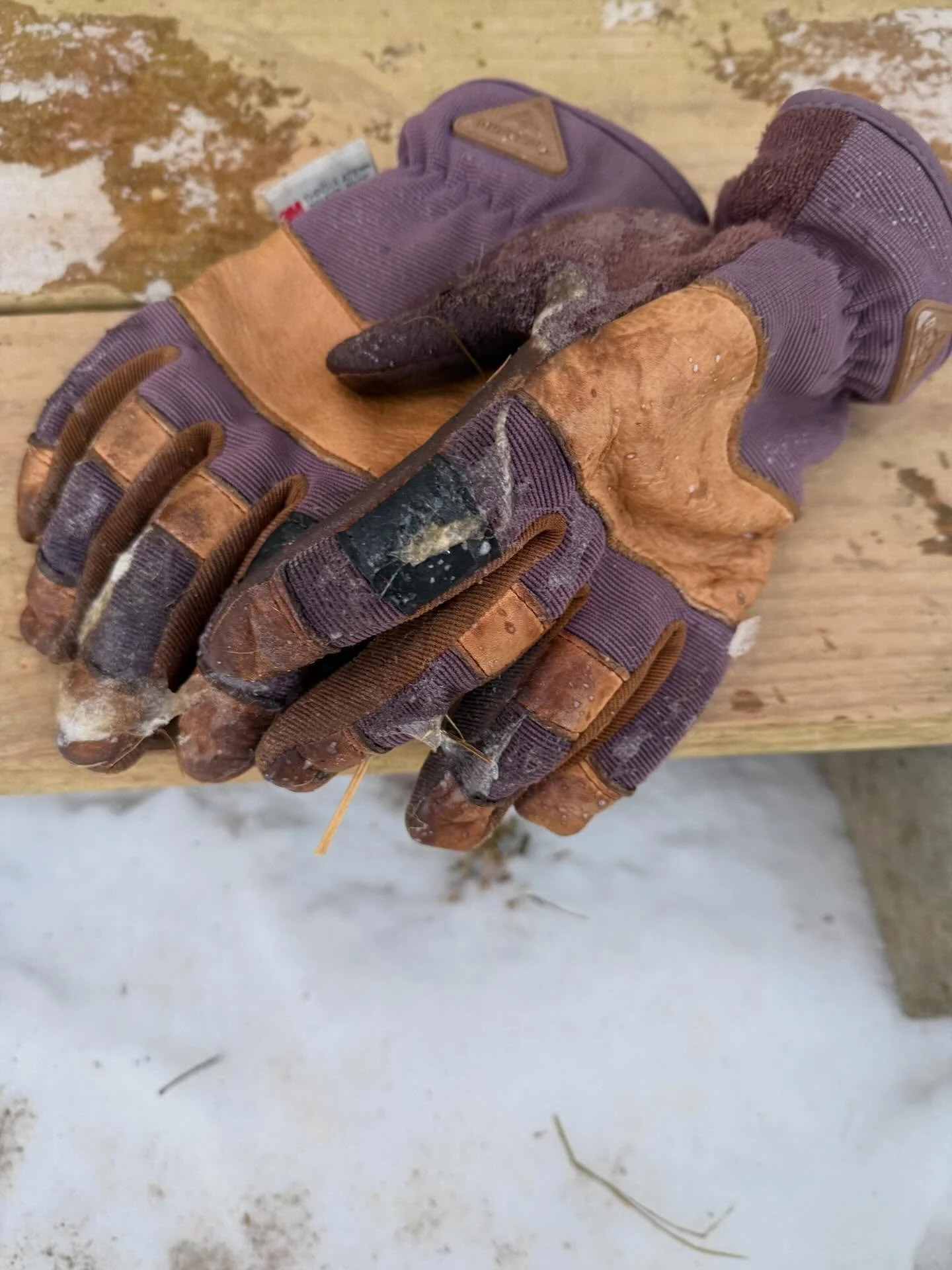 Dear Diary, 

It&rsquo;s been 6 days since I&rsquo;ve been to Dollar General. Beer is running low. Baby goats everywhere. Gloves frozen solid and covered in goat goo. Not sure when I last brushed my hair. Have not fallen down yet but there have been 