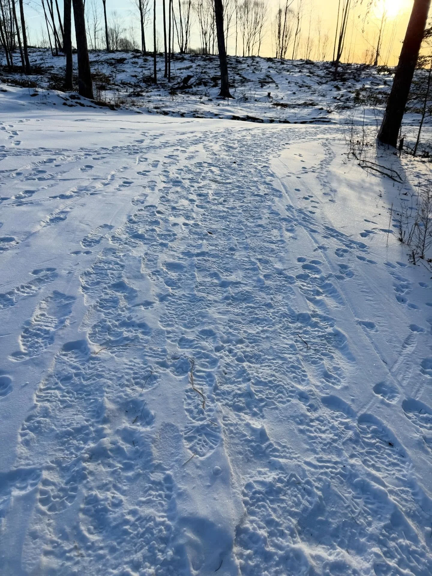 The snow has made it much easier to maneuver around. Although, there is still a thick layer of ice under there carrying water has gotten to be less of an Olympic sport.

I think this was the first morning in several days where we had 20 degree temps 