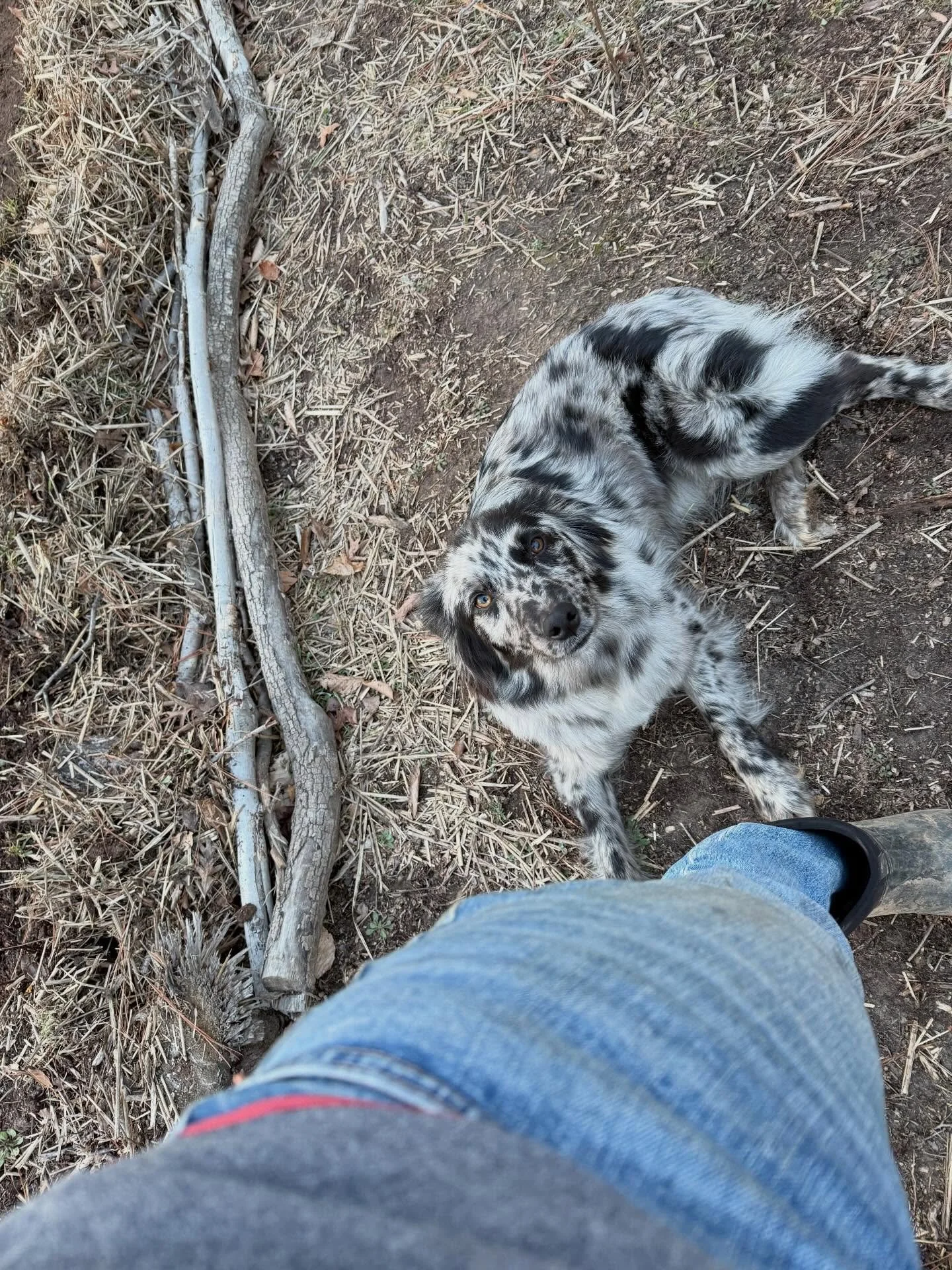 &ldquo;Do you ever get lonely out there?&rdquo;

I think you mean, are you ever alone? There&rsquo;s always an animal attached to my hip 🖤