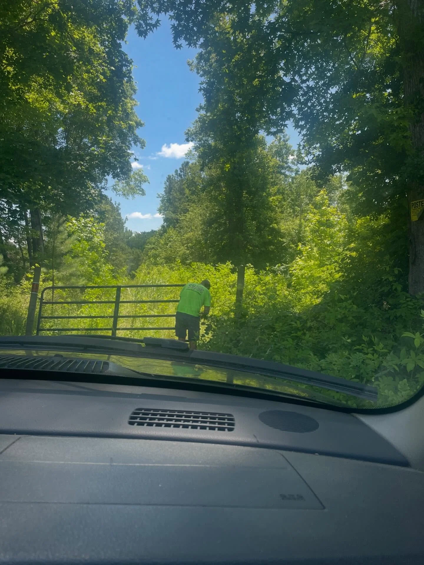 Took a trip through my old photos this week, looking to compare notes on the growth in the forest so that I could decide where to move the goats first. I can&rsquo;t believe what this place looked like the first day we came to visit. The overgrowth w