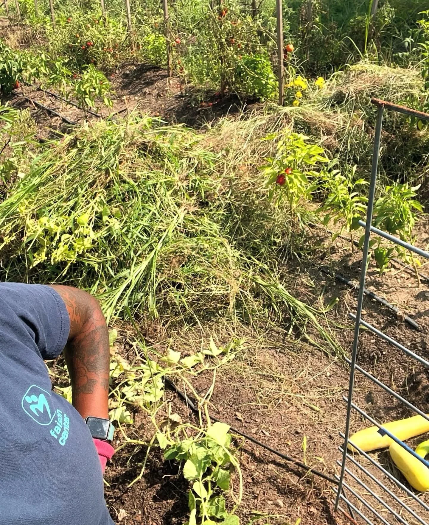 Remember friends, if you sow it&hellip;you gotta weed it 😅

March me and July me are simply not the same person.