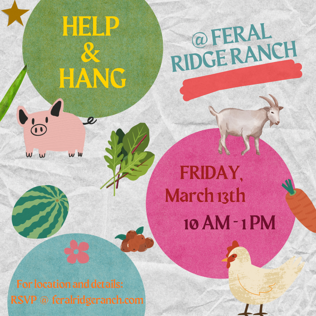 Help and Hang (3/13)