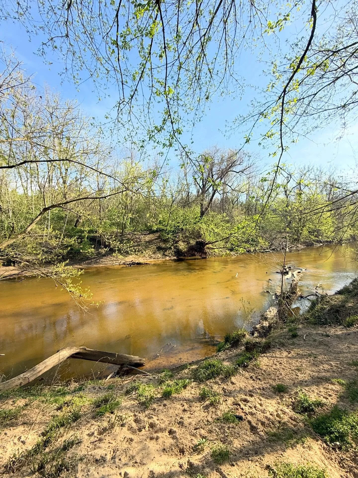 &ldquo;Are you trying to just add as much friction to your life as possible?&rdquo; 

You know what friction creates? Heat. Energy. Fire. I encourage you to add some to your life 😘