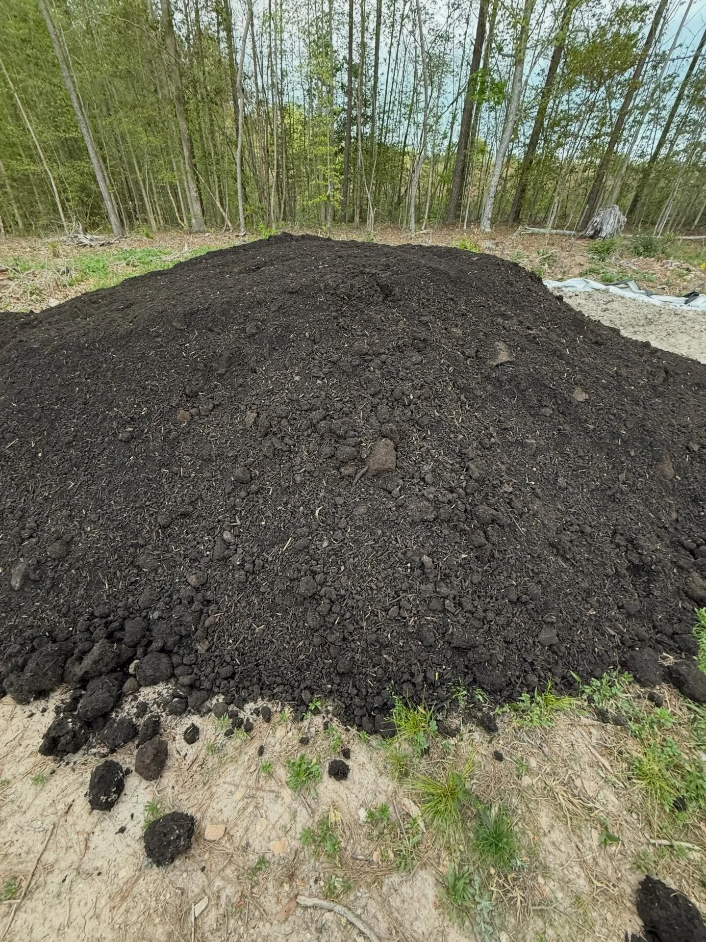 I ordered 3 loads of compost. This is one load. Keep my back in your thoughts 😭