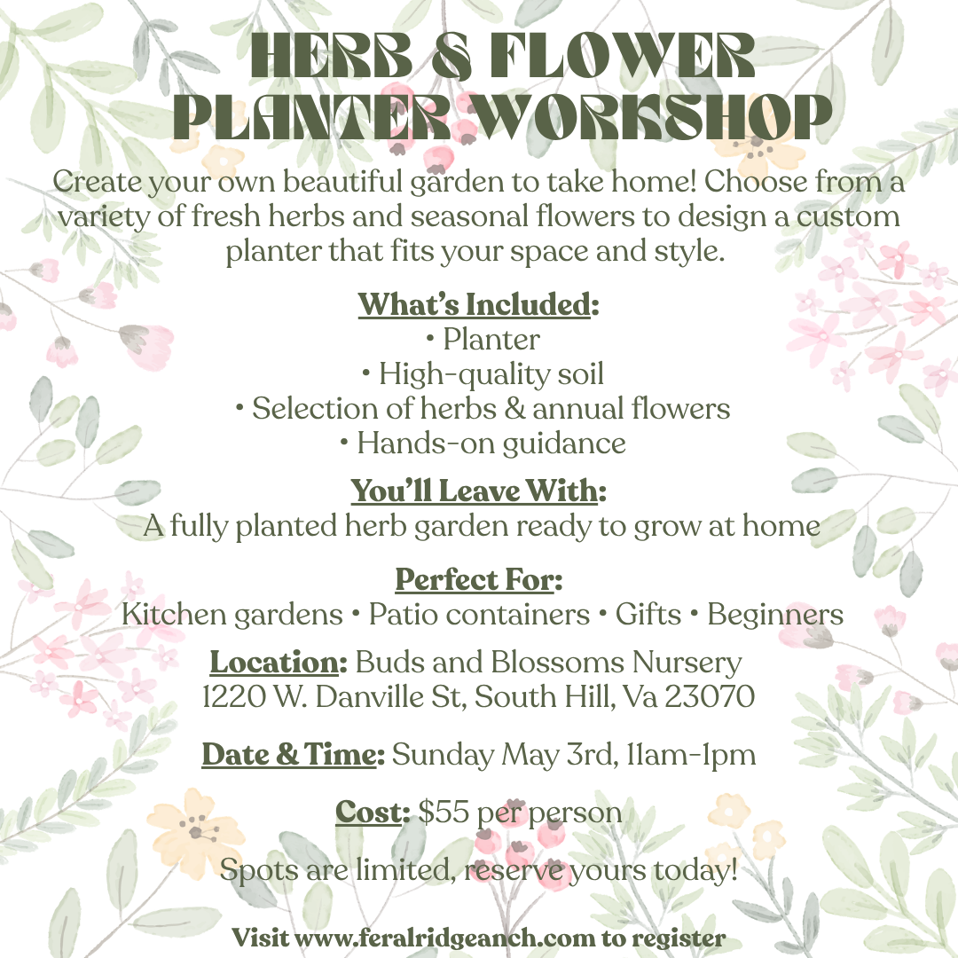 Herb and Flower Planter Workshop