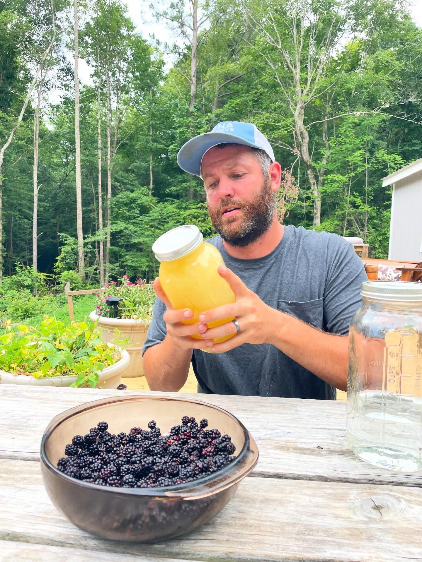 Danny was LOCKED in. 

Last Summer we made lots of shall we say&hellip;natural beverages. A few berries, a little natural yeast, and sugar water. You&rsquo;ve got yourself a party or a nap 😂

The blackberries are flowering, won&rsquo;t belong now!