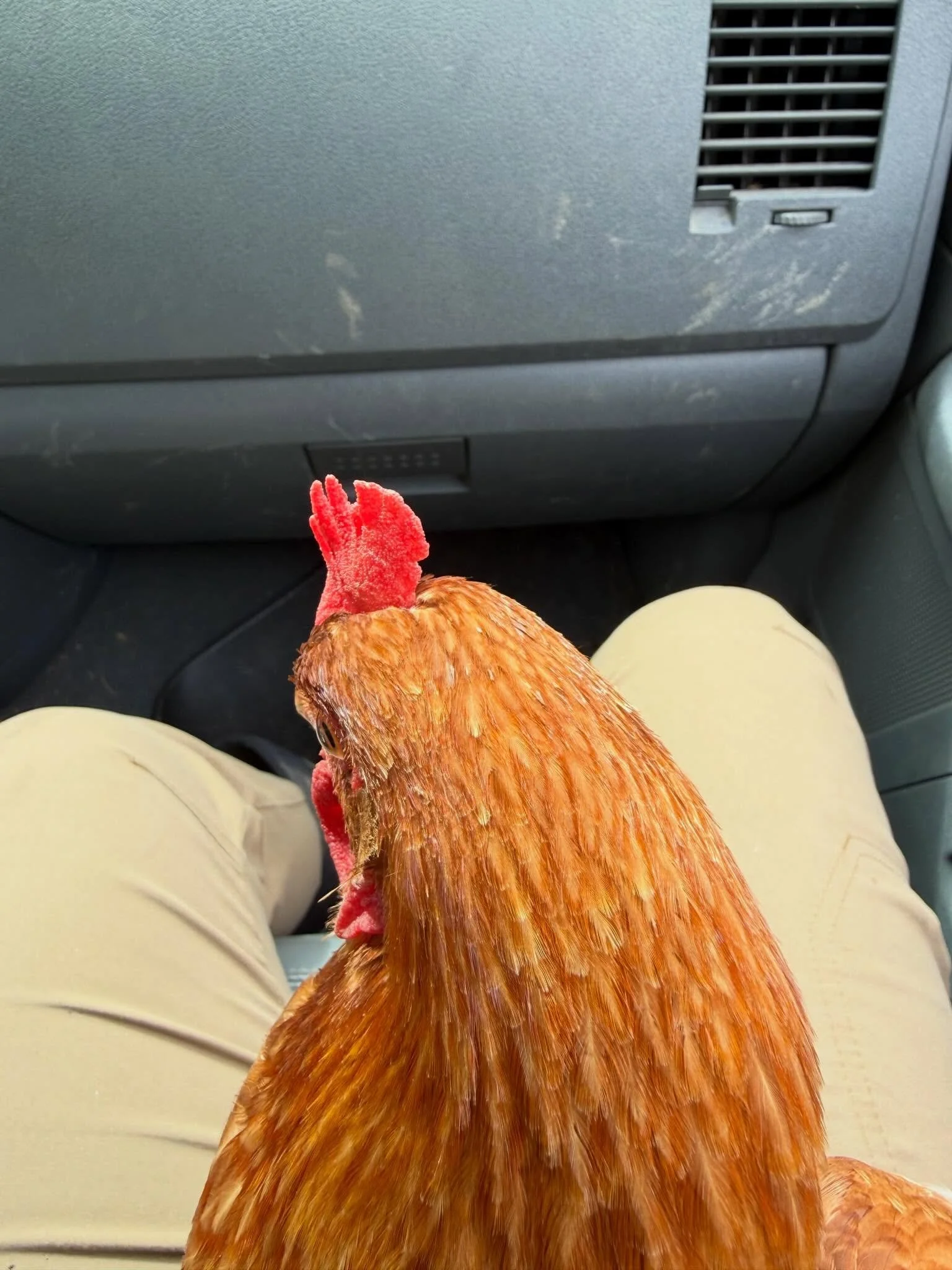 Why is our truck so dirty you ask? Well where shall we begin?