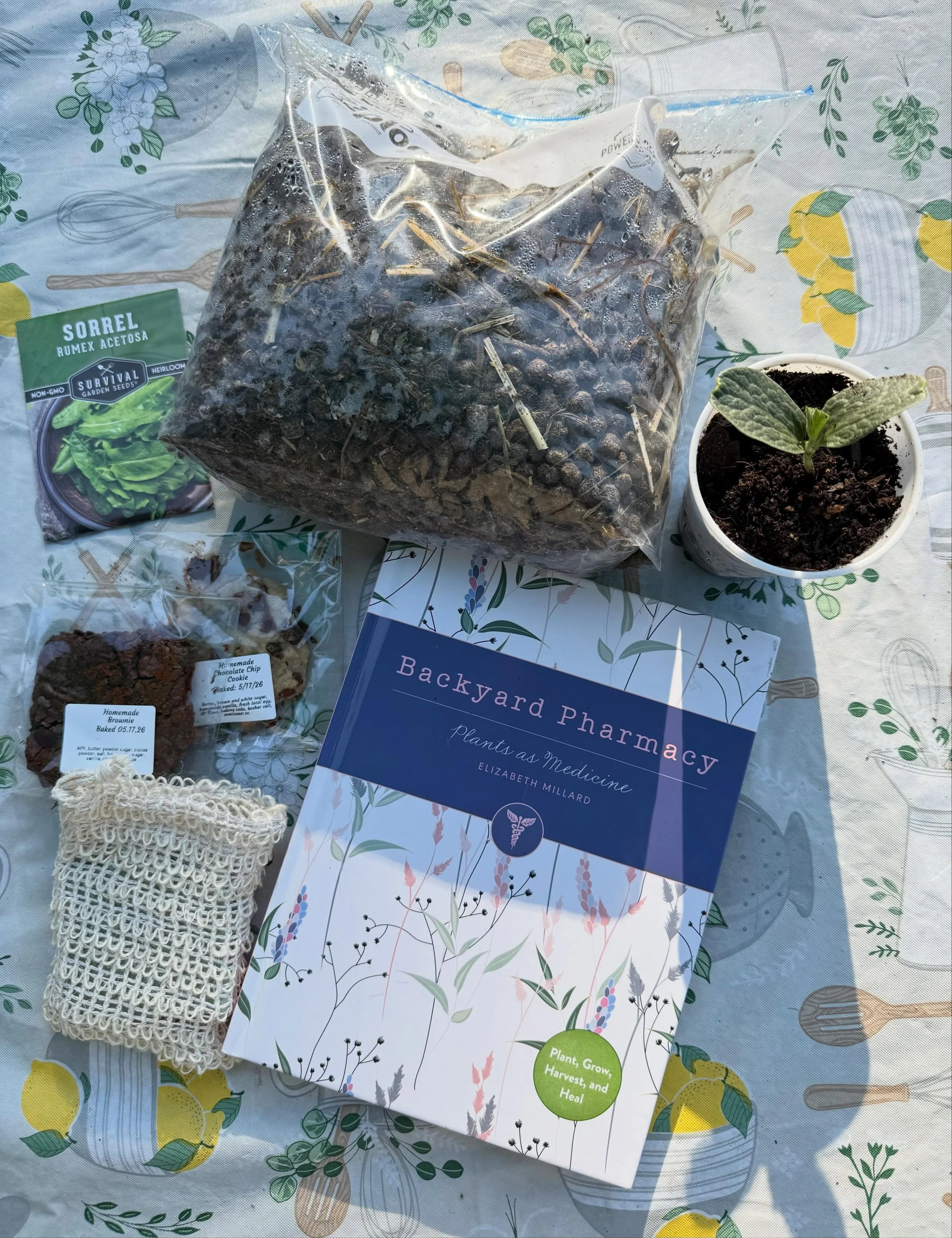 Our first Homestead Honeys Swap was a success! There were plants, seeds, books, rabbit compost, bars of handmade soaps, baked goods and more. Thanks to all that braved the heat and went on a little hike through the property on an unseasonably hot day