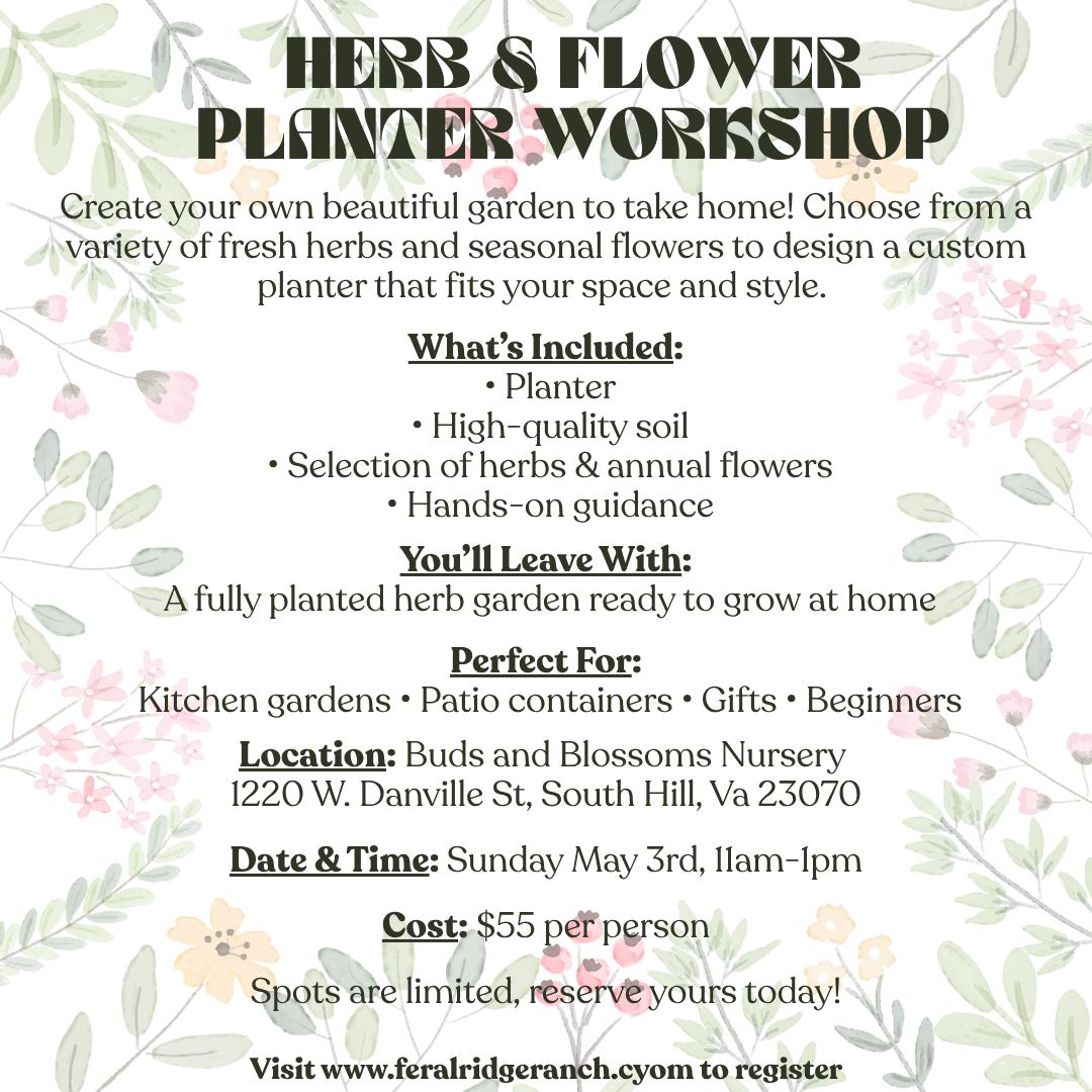 Colorful Botanical flower Invitation Card Instagram Post (1).png