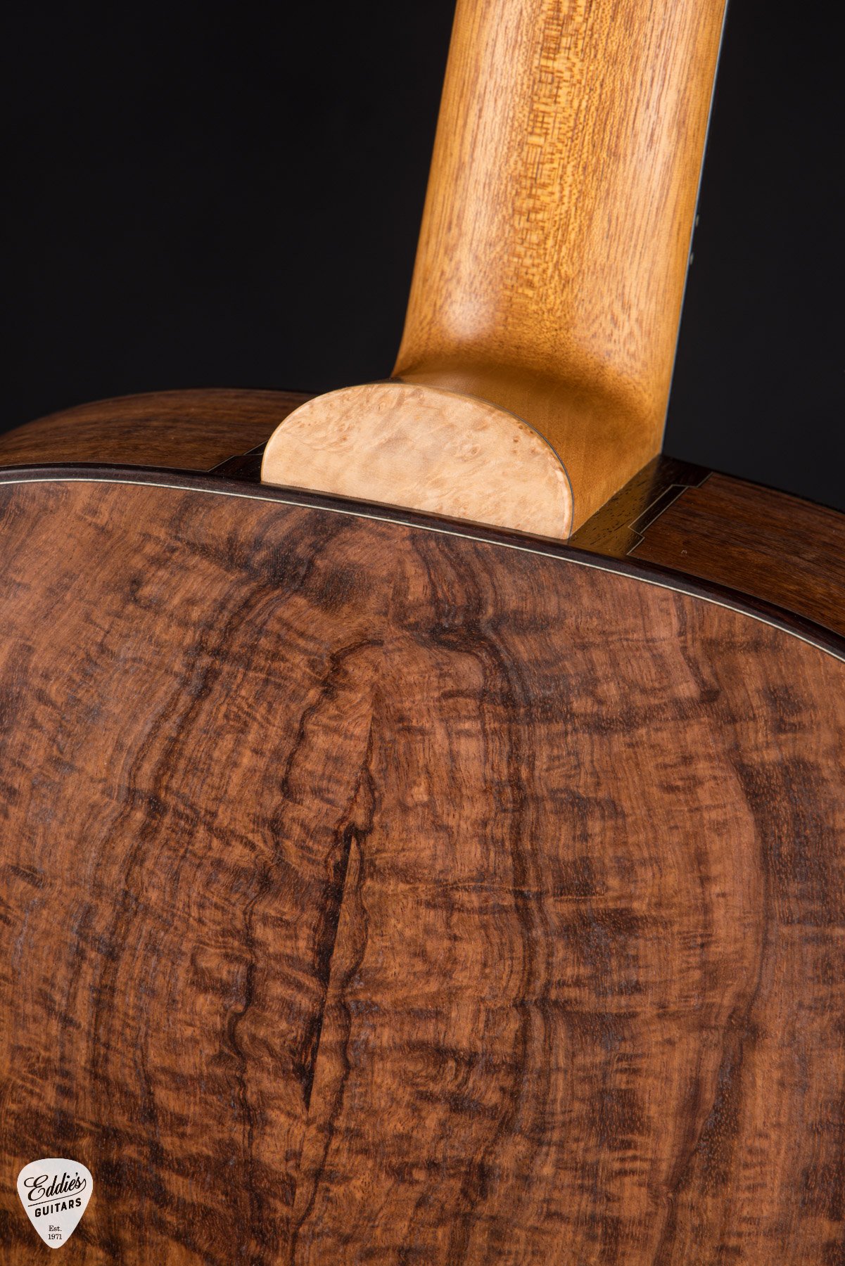 photo by Eddies Guitars