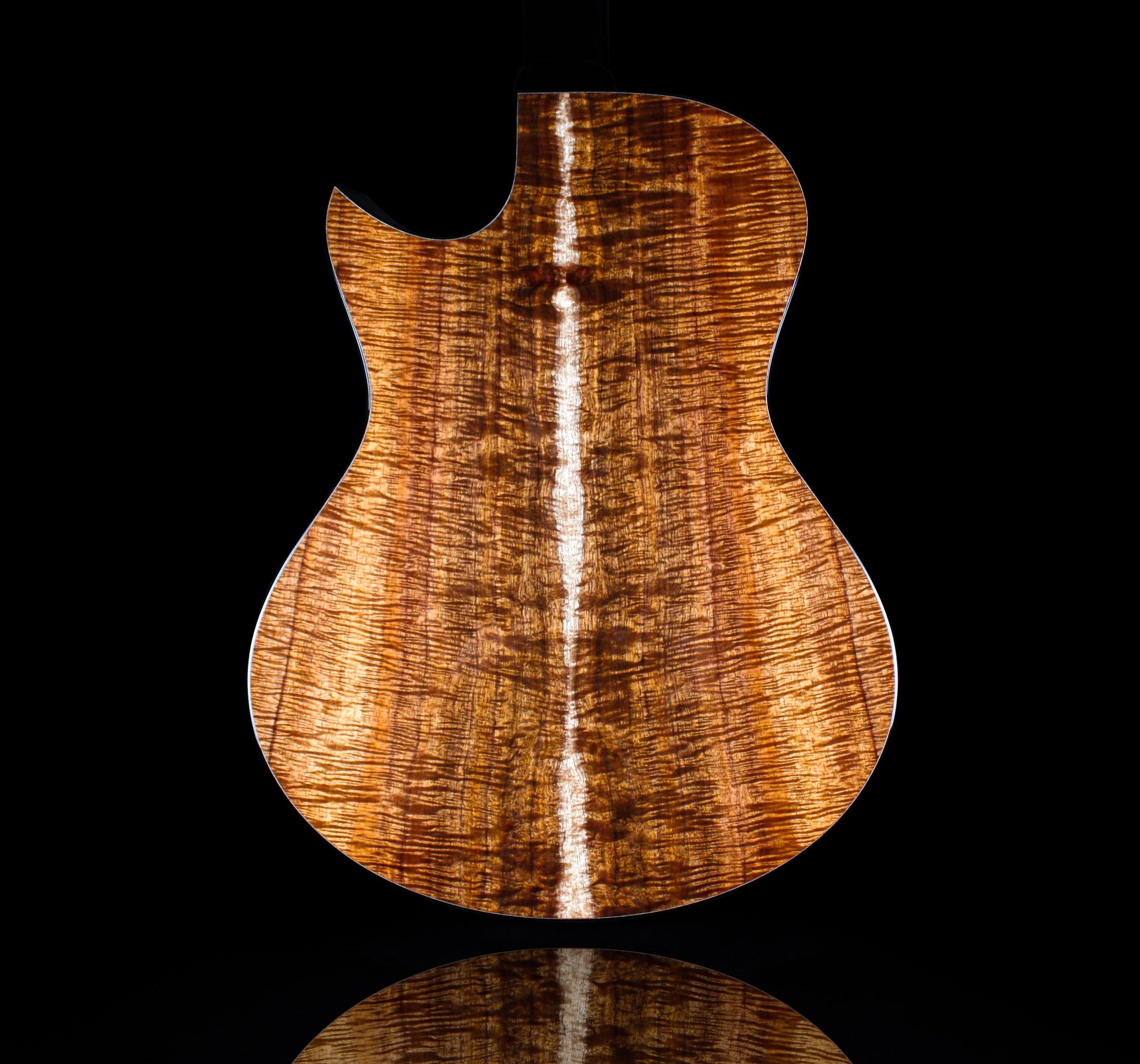 Gallery — Riviere Guitars