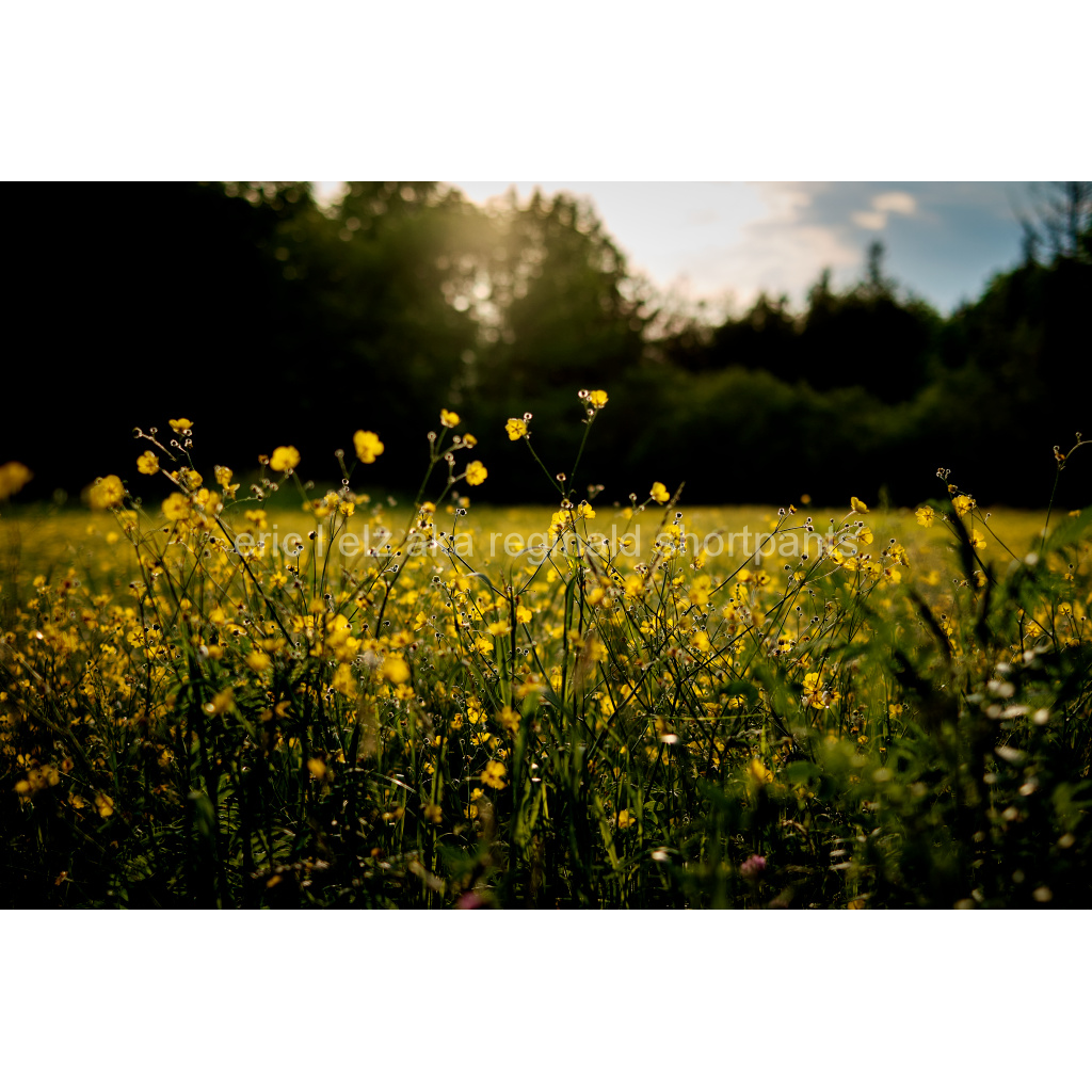 image_original_2445a6adfeb6b50a1dc043b716d7e820.png