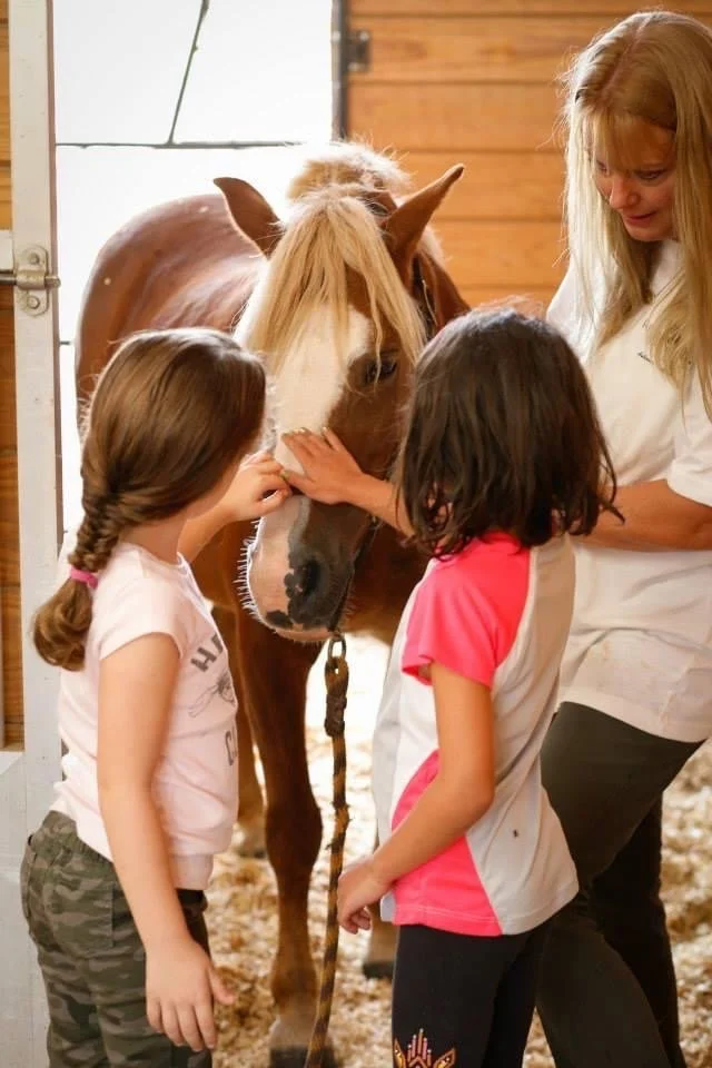 River's Pointe Stables