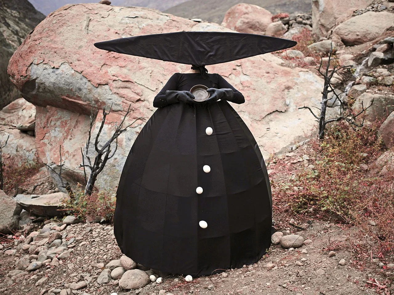 hidra 004.jpg