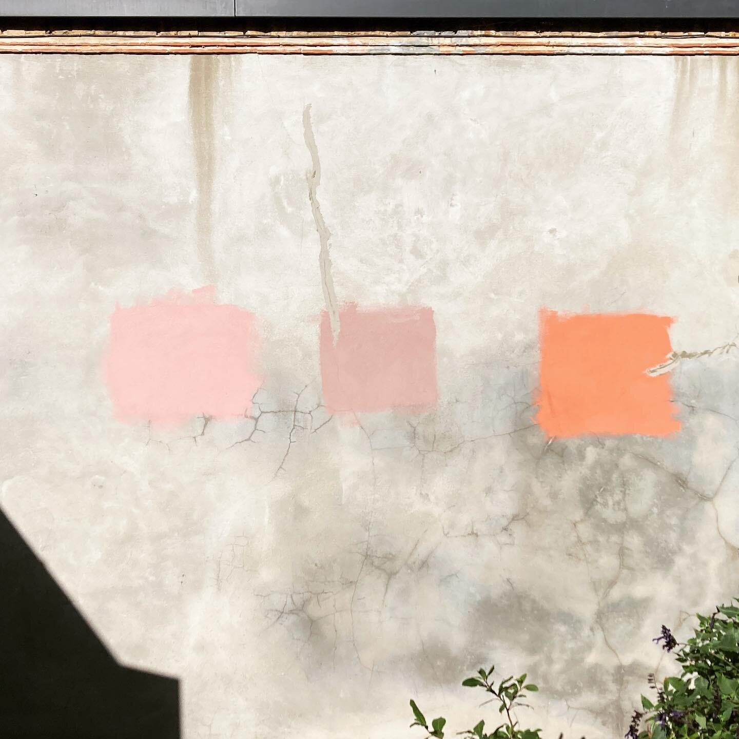 Aaaah hard not to love the optimism of colour sampling on a sunny garden wall!!! #londongarden #paintsamples #autometry_ltd #sunshine #gardenwall #outsidespace