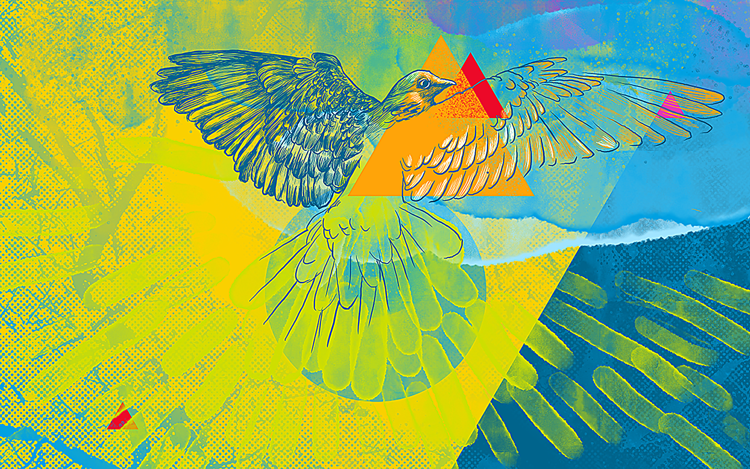 AstroBear_Illo-007.png