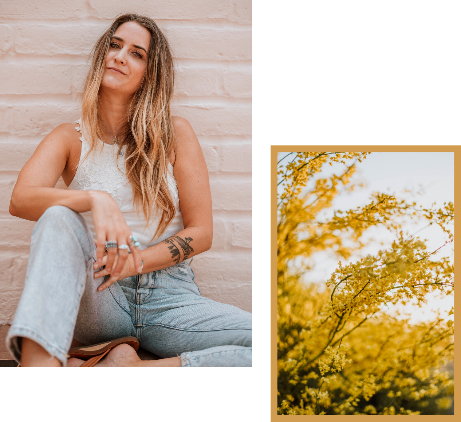 Courtney Carteret Photography in Tucson, Arizona