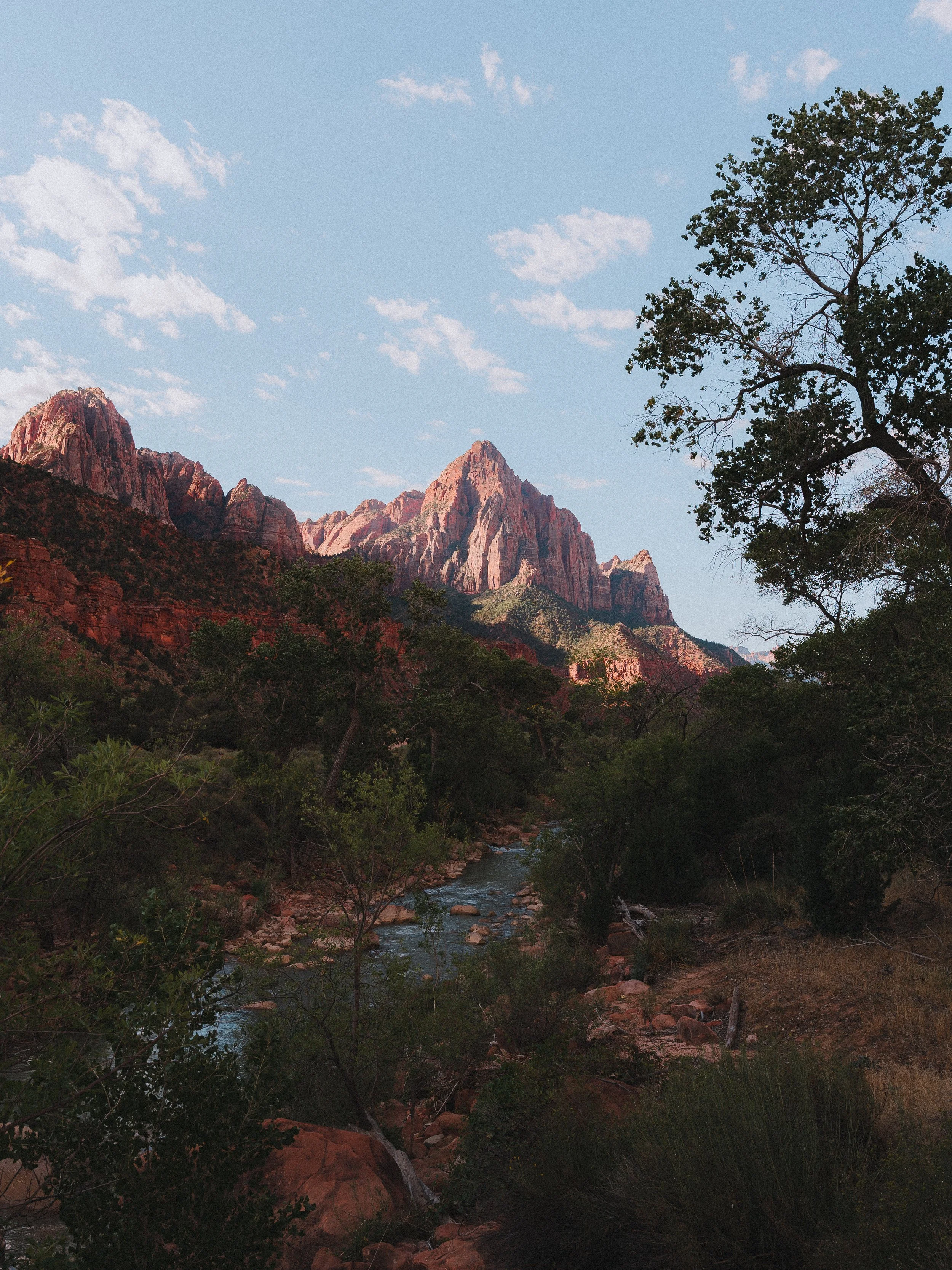 Zion website.JPG