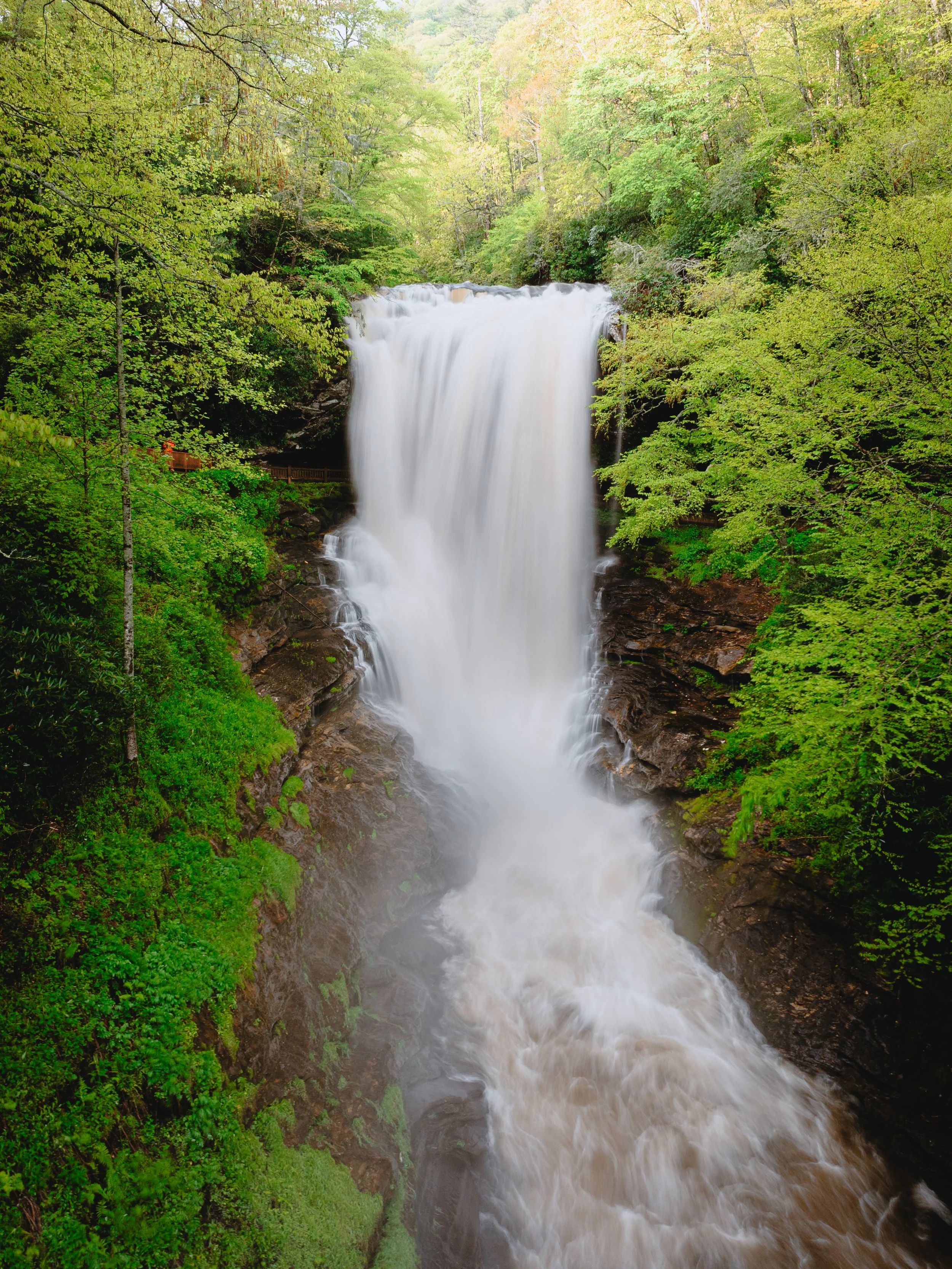 DJI_20250513083741_0010_D_FLXARM-Pano.JPG
