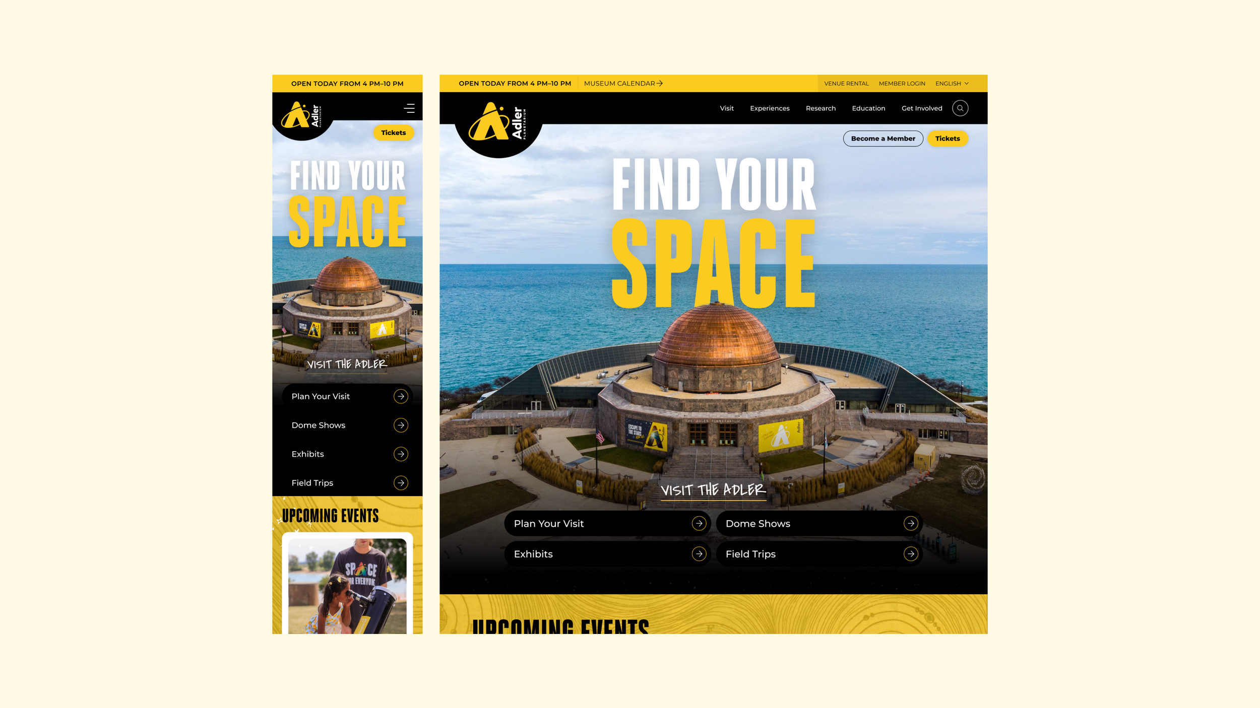 The Adler Planetarium Website