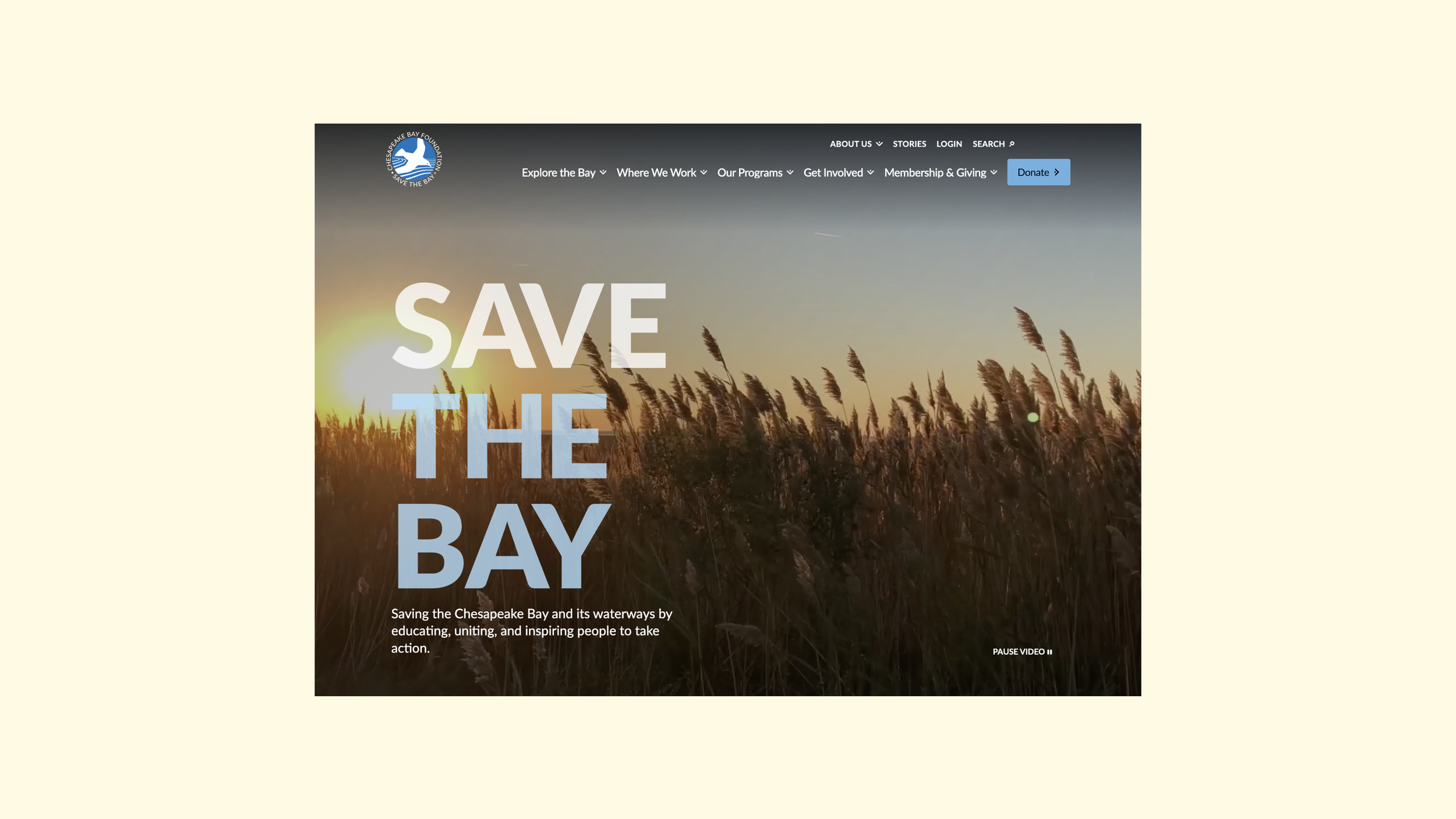 Chesapeake Bay Foundation Website