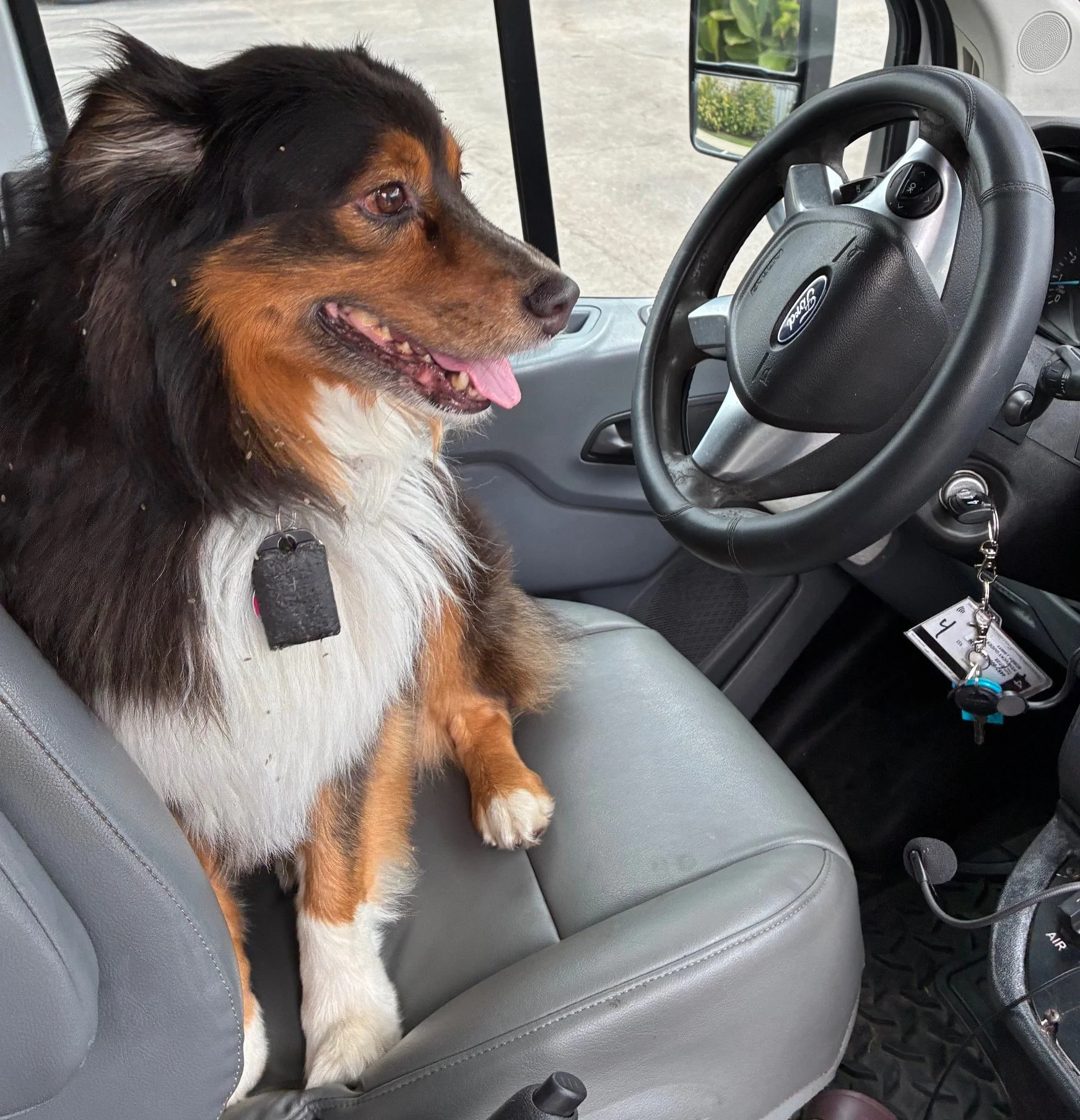 NEW PIC Louie bd wheel.jpg
